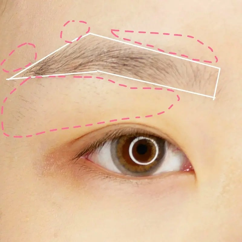 Useful Daily Eyebrow Tutorial For Beginners