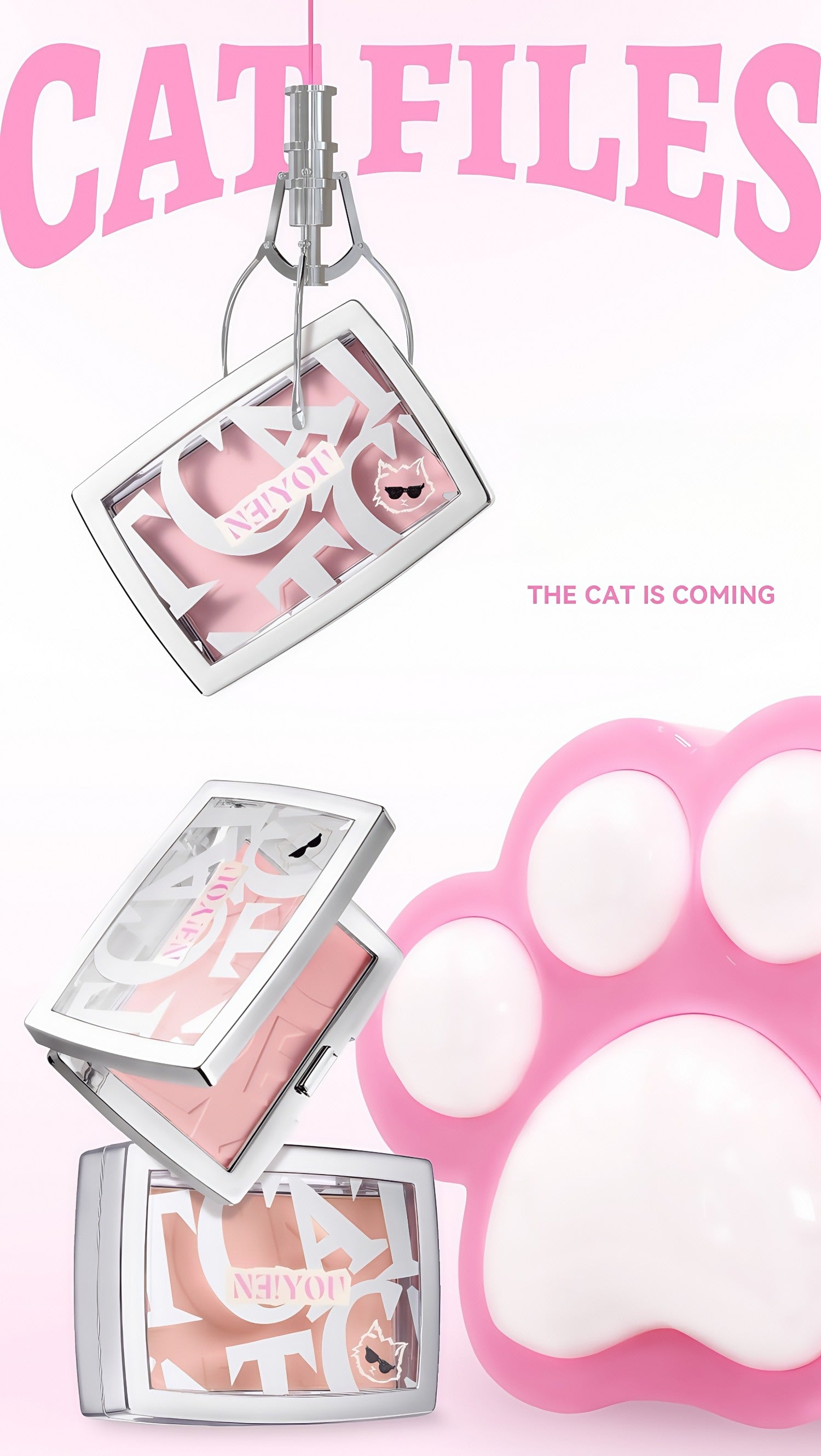 NEIYOU Long-wear Matte Blusher Powder T4566
