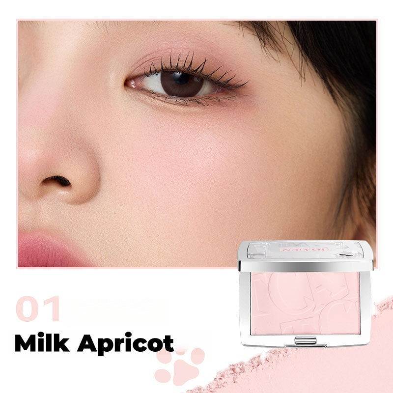 NEIYOU Long-wear Matte Blusher Powder T4566