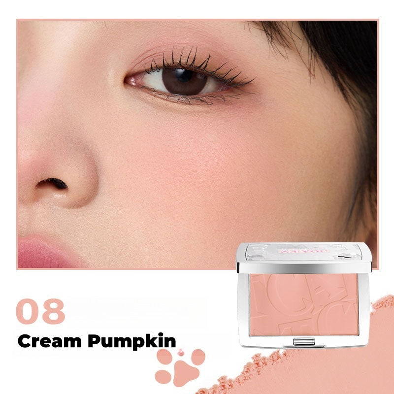 NEIYOU Long-wear Matte Blusher Powder T4566