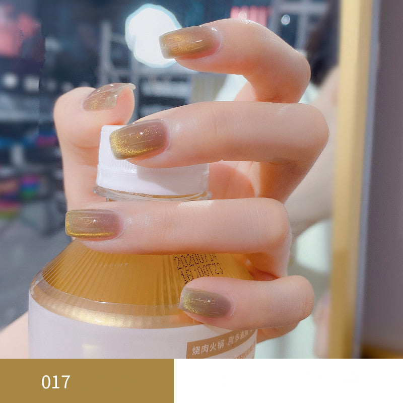 KellyKessa 15ml Dreamy Aurora Cat Eye Gel Polish T4067