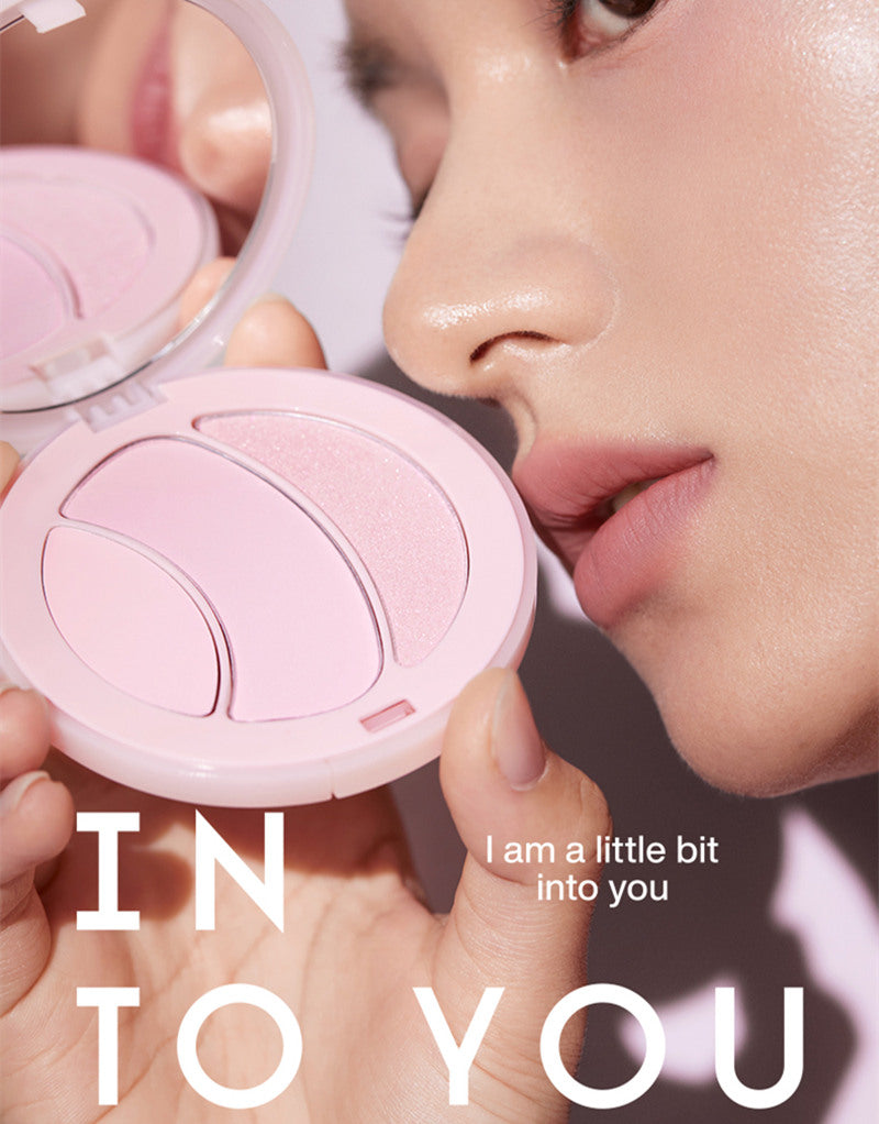 INTO YOU Matte & Pearlescent Highlighter Palette T3767