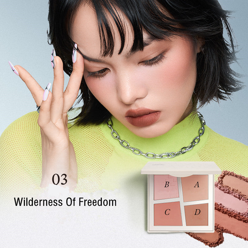 INSBAHA Primary Look Explore Four-Color Blusher Palette T3772
