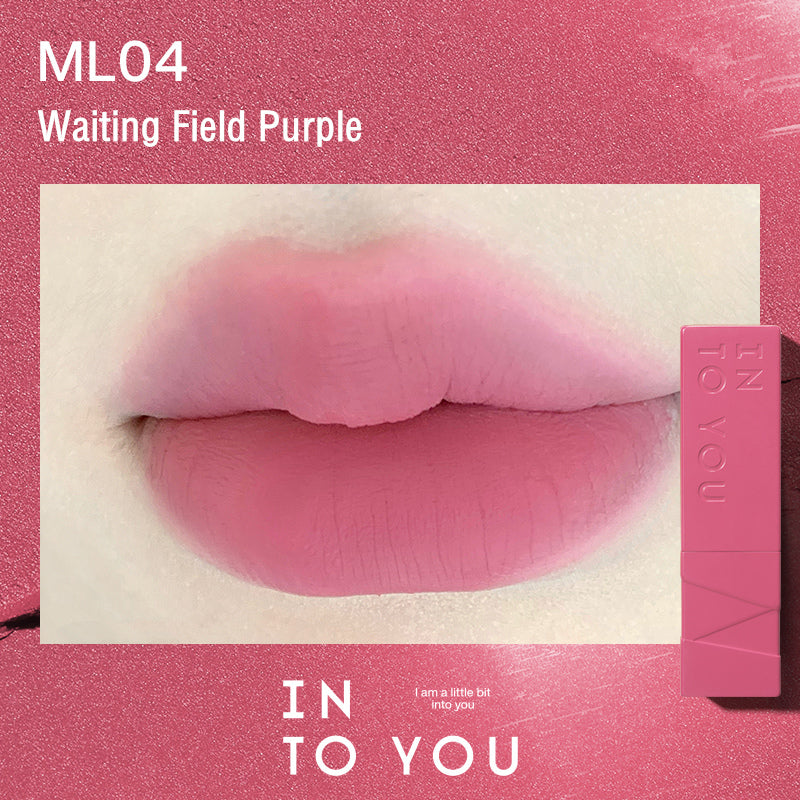 INTO YOU Show Series Velvet Matte Lipstick T3527
