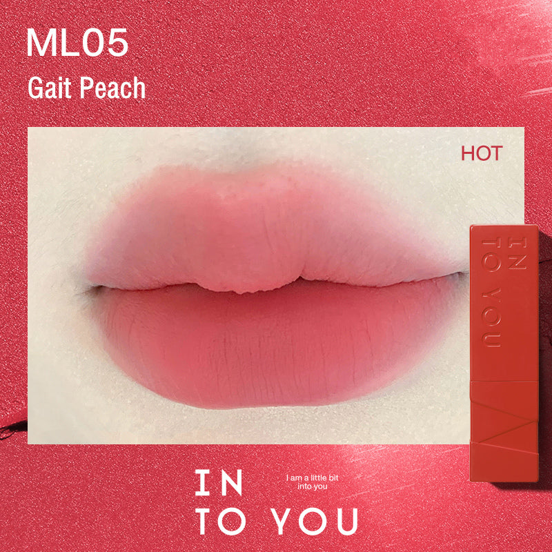 INTO YOU Show Series Velvet Matte Lipstick T3527