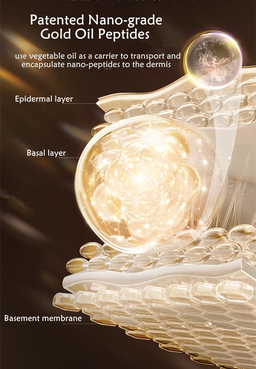 AFU Mummy Series Golden Oil Peptide Anti-rynke Essentiel Ansigtscreme (2.0) T4016