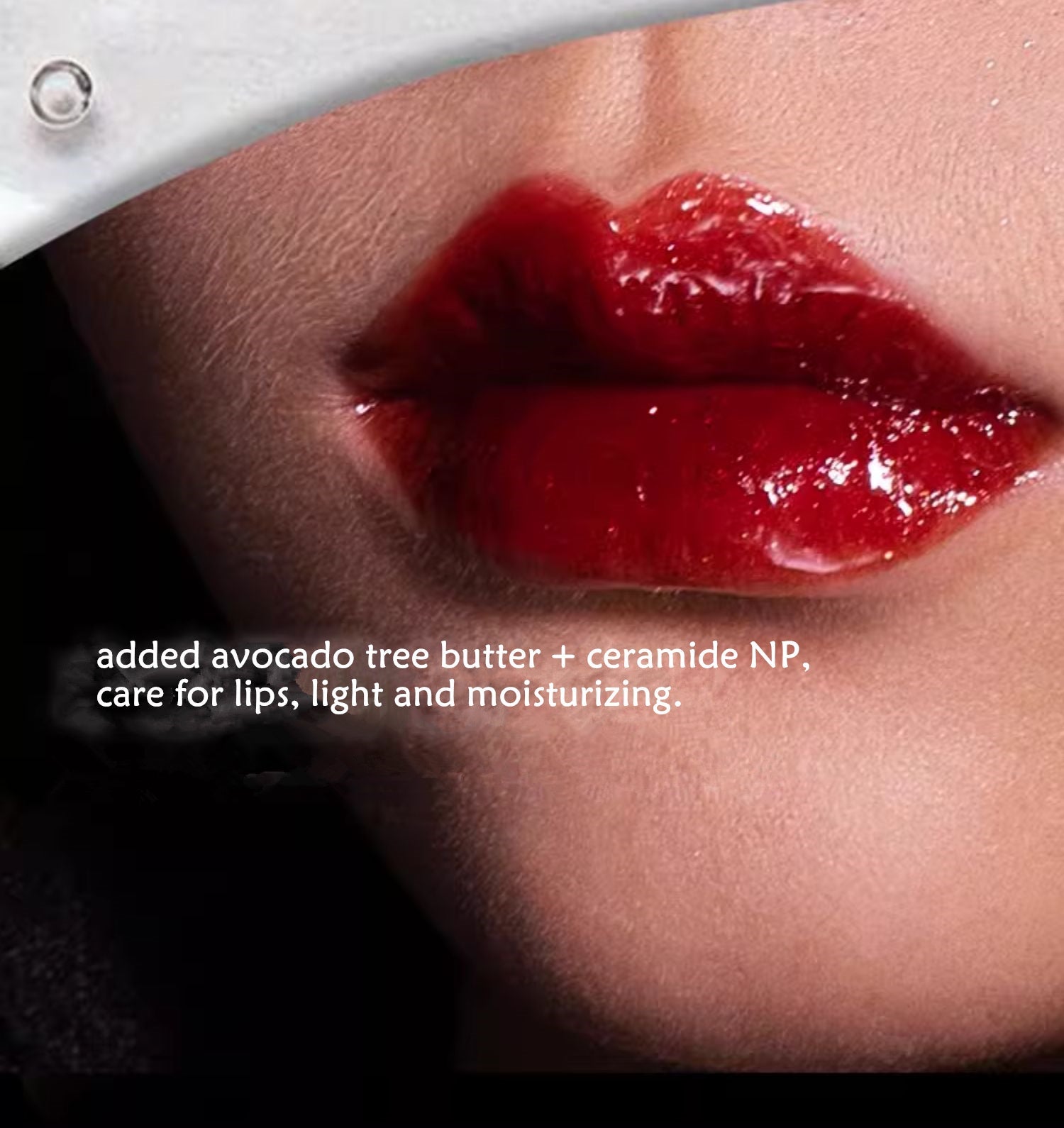 HAGGARD Scepter Series Double-Tube Lip Glaze T3868