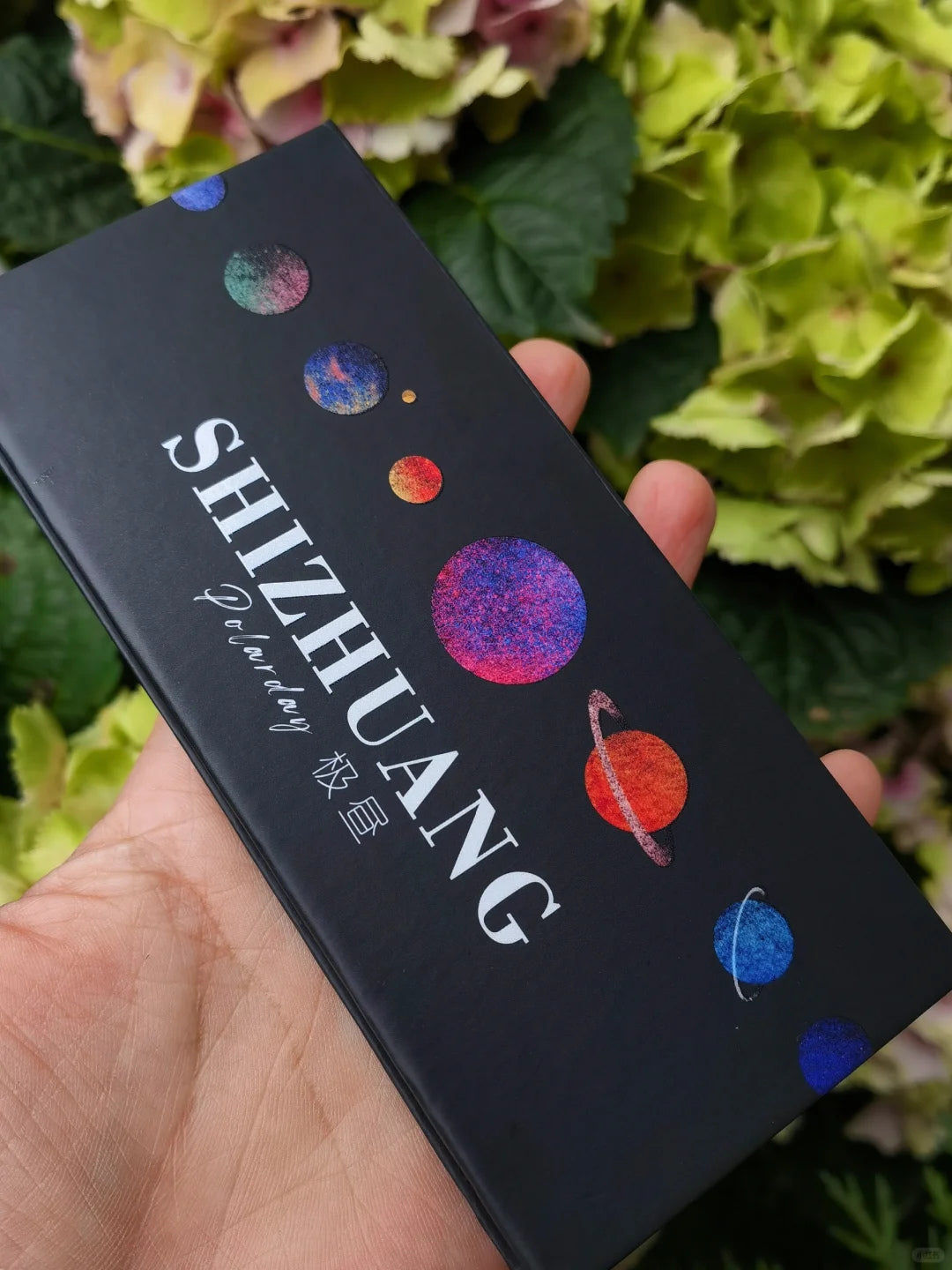 SHIZHUANG Extreme Daylight Full Chameleon 10 Color Eyeshadow Palette T3886