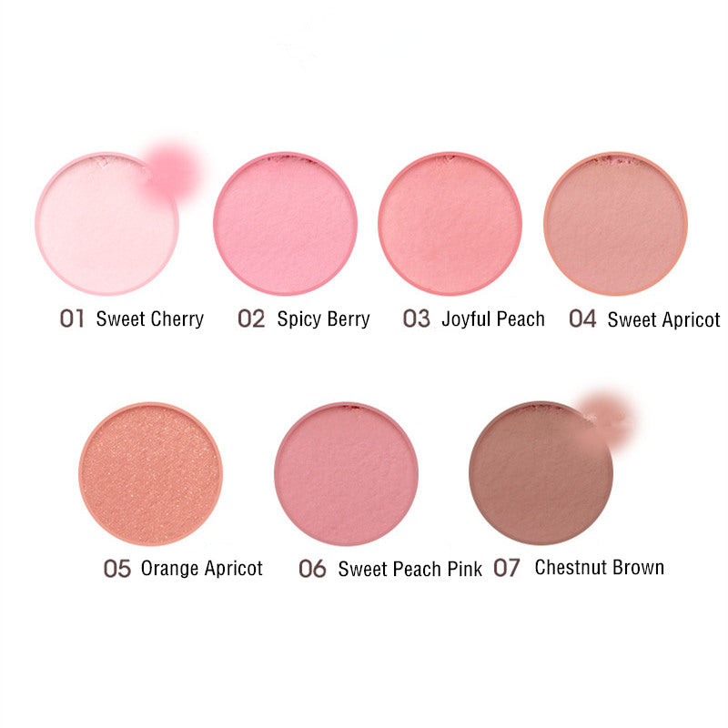 CHIOTURE Air Cushion Shimmer & Matte Blusher Stick T3697