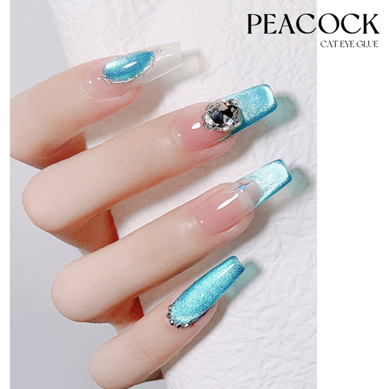 KellyKessa 6ml Professional Monet & Stars Cat Eye Gel Polish T3491