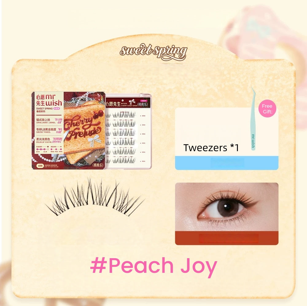 MR.WISH Sweet Spring Collection Natural Glue-free False Eyelashes T5753