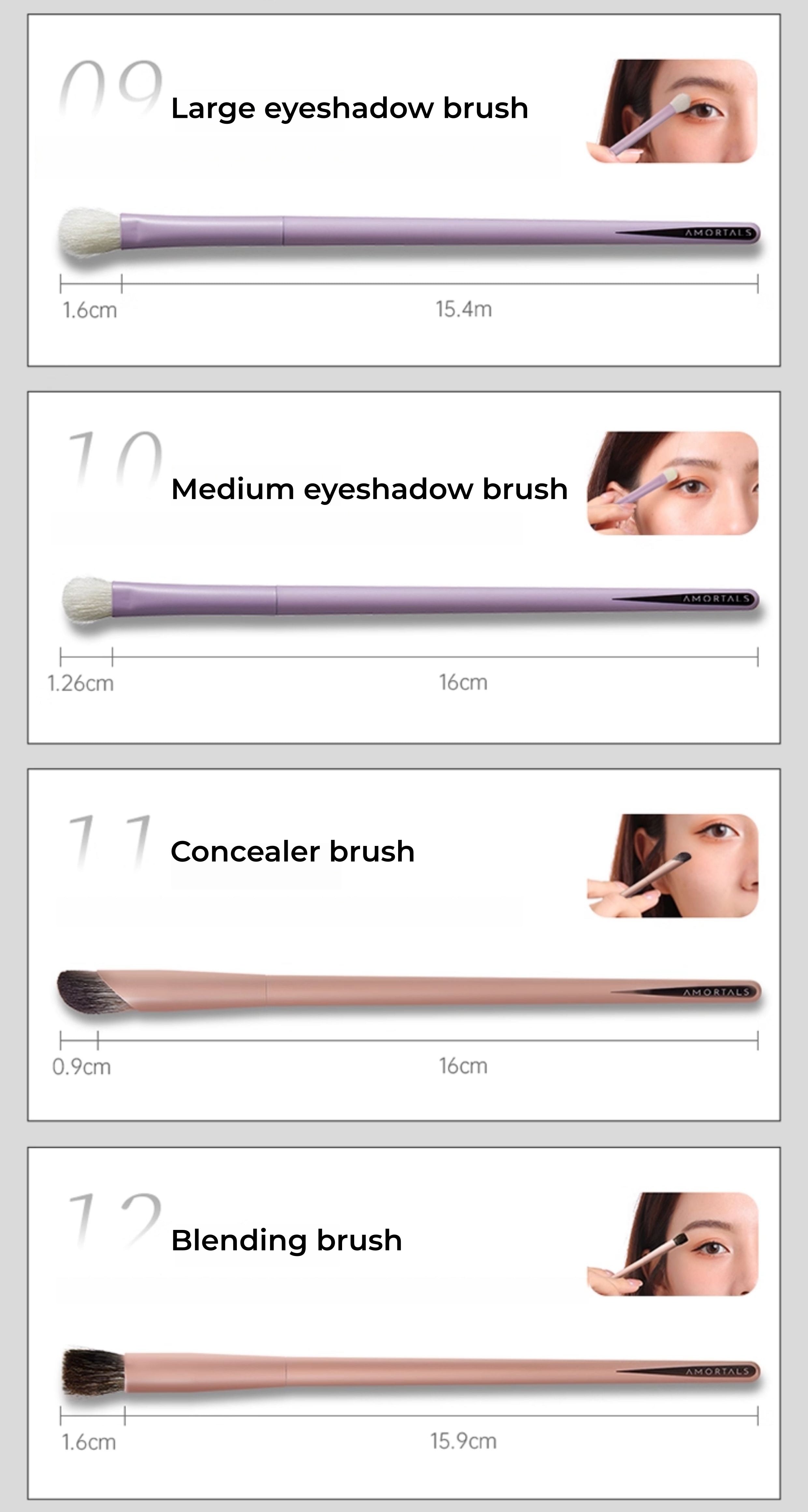 AMORTALS Work Master Collection 12 Pcs Makeup Brushes Set T5264