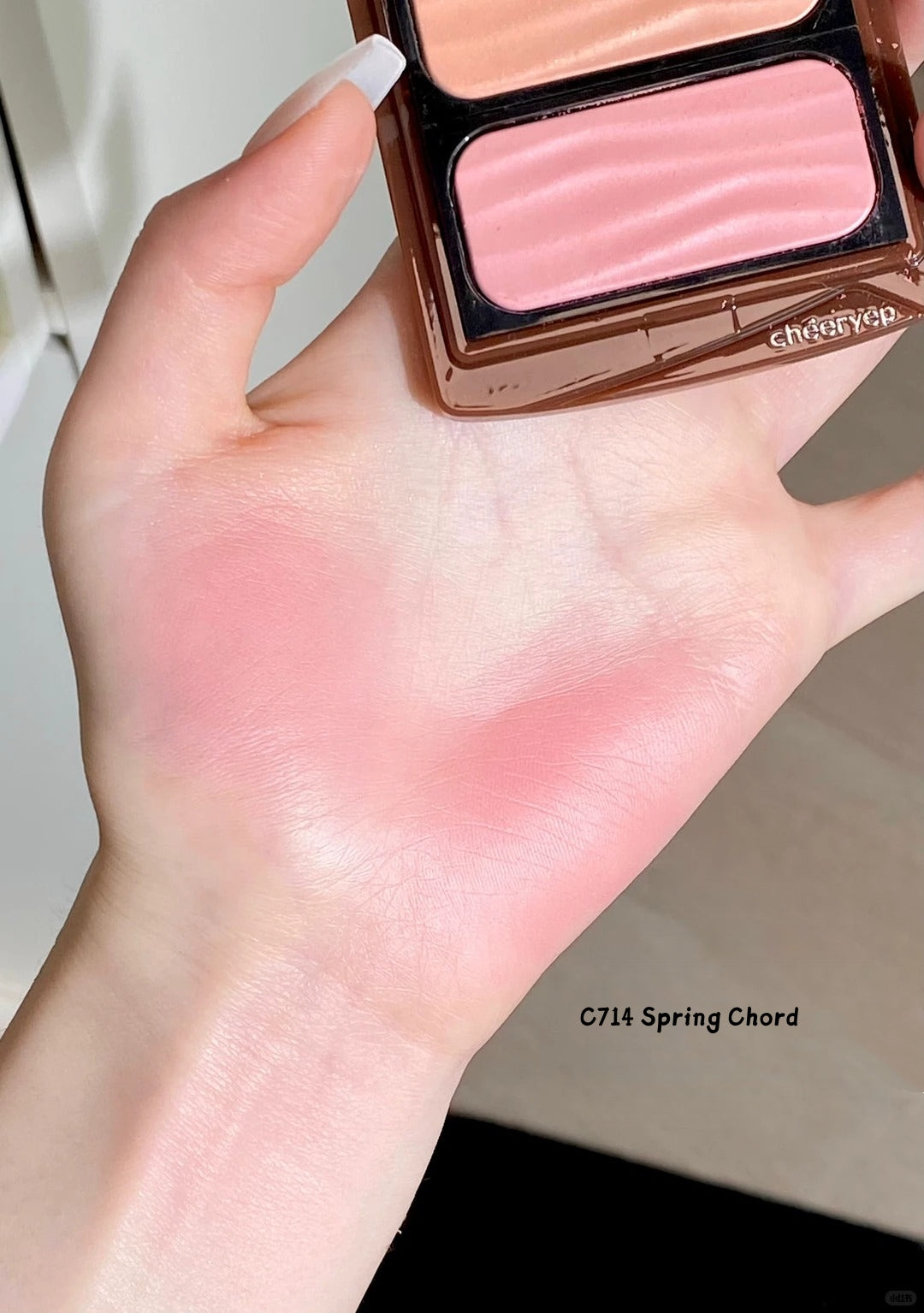 QianYan Spring Blooms in Her Collection Eyeshadow & Blusher T5638