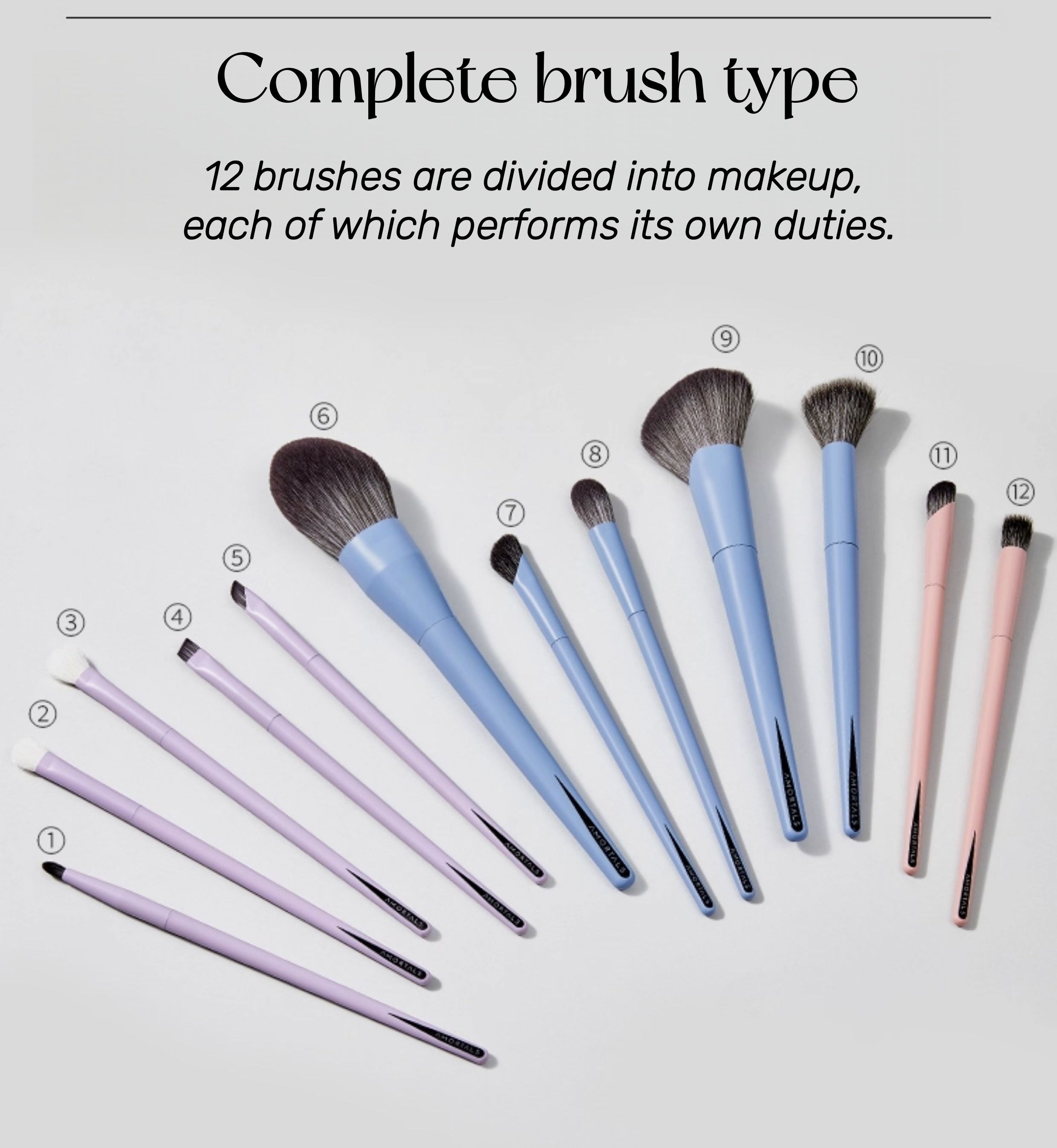 AMORTALS Work Master Collection 12 Pcs Makeup Brushes Set T5264