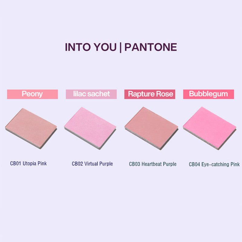 INTO YOU X PANTONE Cool Tone Series Blusher Powder T3730