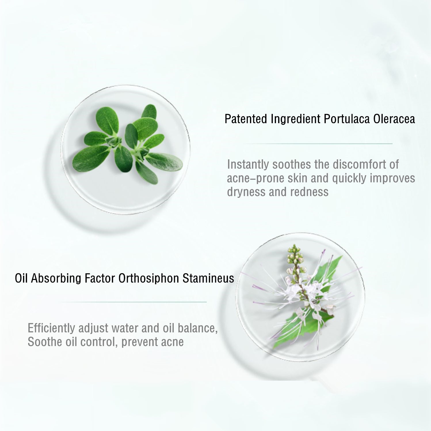 WINONA Anti-Acne Series Lactobionic Acid Acne Treatment Serum T3484