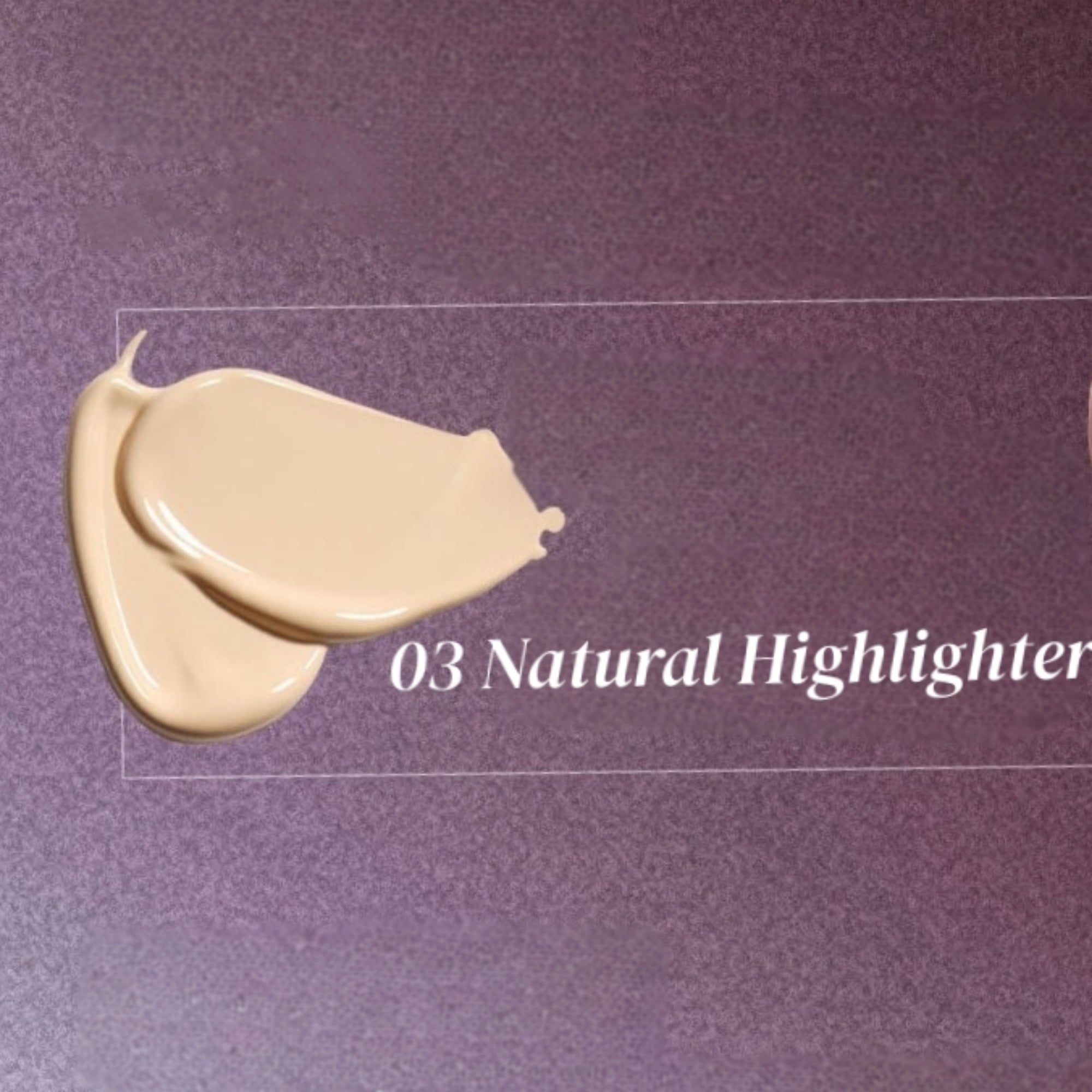 INSBAHA Rebel Collection Long-wear Liquid Concealer T5938