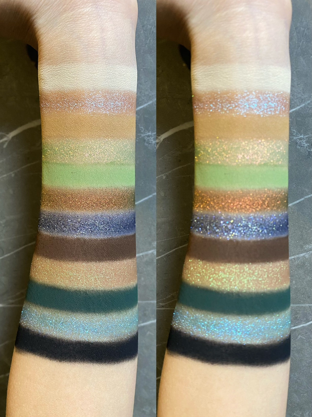 KRYPTEIN COSMETICS BURNT FOREST 12-Color Chameleon Eyeshadow Palette T4584