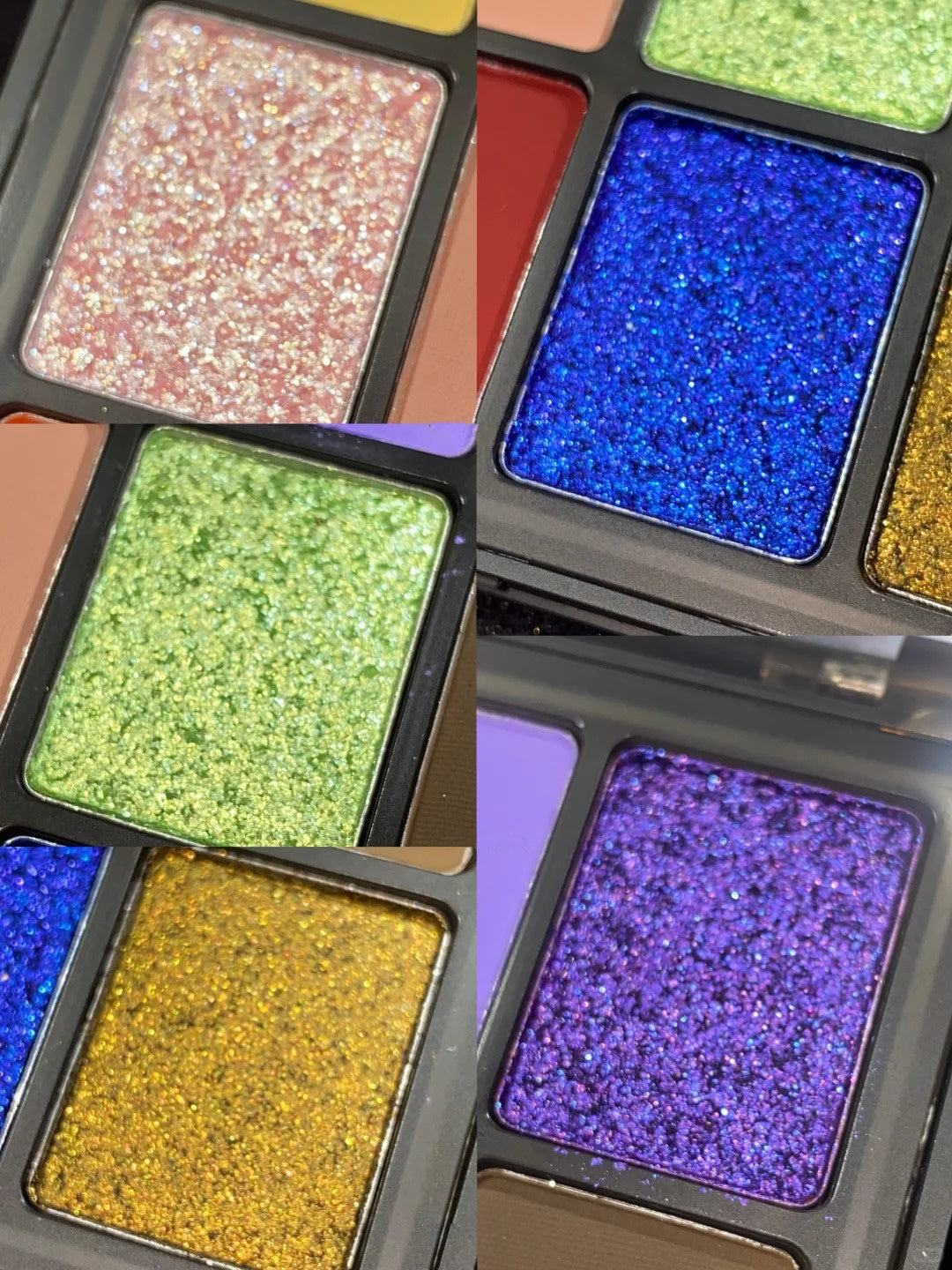 CHOIZ BEAUTY Parrot 12-Color Eyeshadow Palette T4196