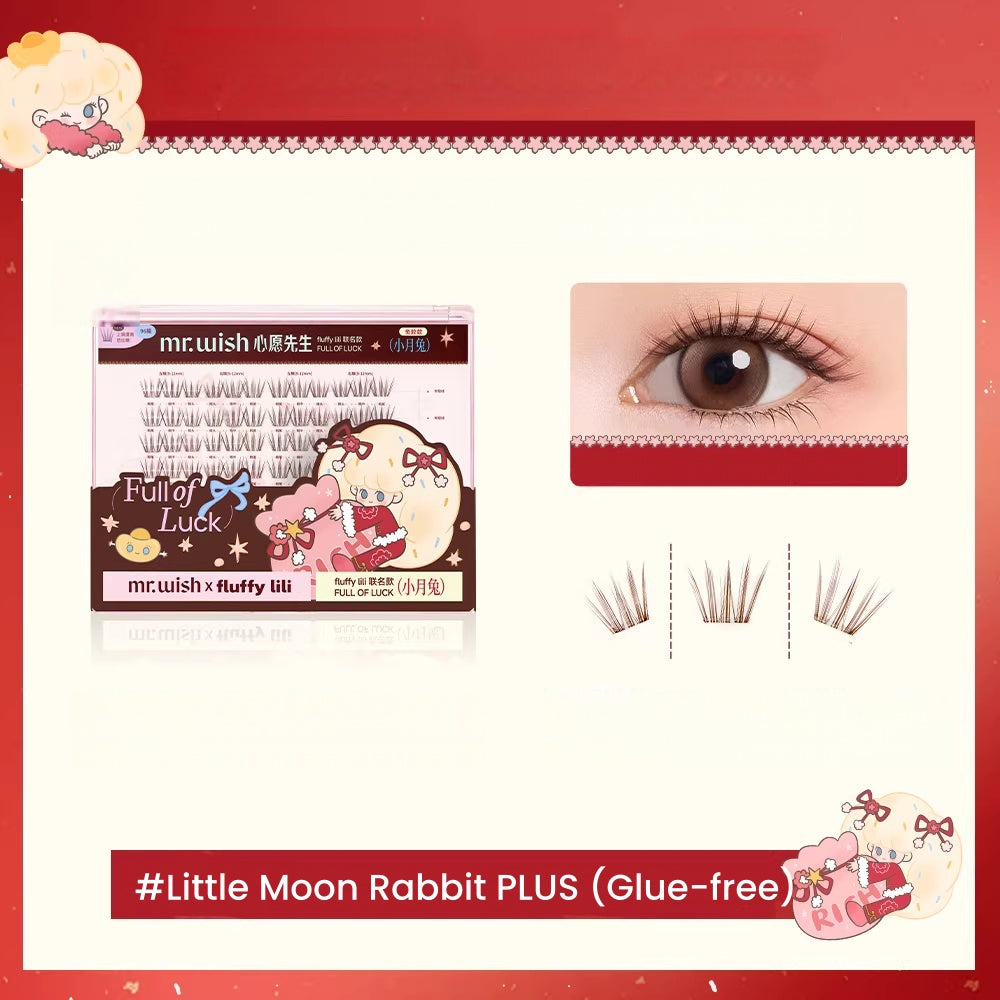 MR.WISH Plus Edition Large Capacity False Eyelashes T5679