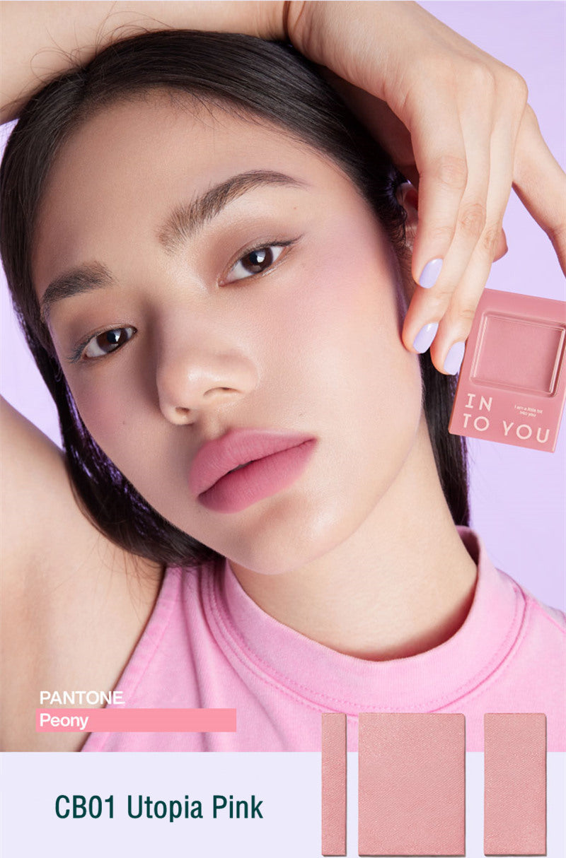INTO YOU X PANTONE Cool Tone Series Blusher Powder T3730