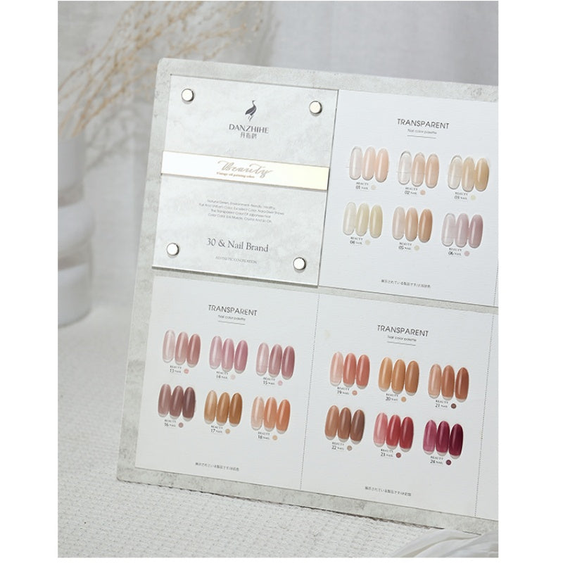 DANZHIHE 12g Semi-transparent Nude French Jade Gel Polish T4839