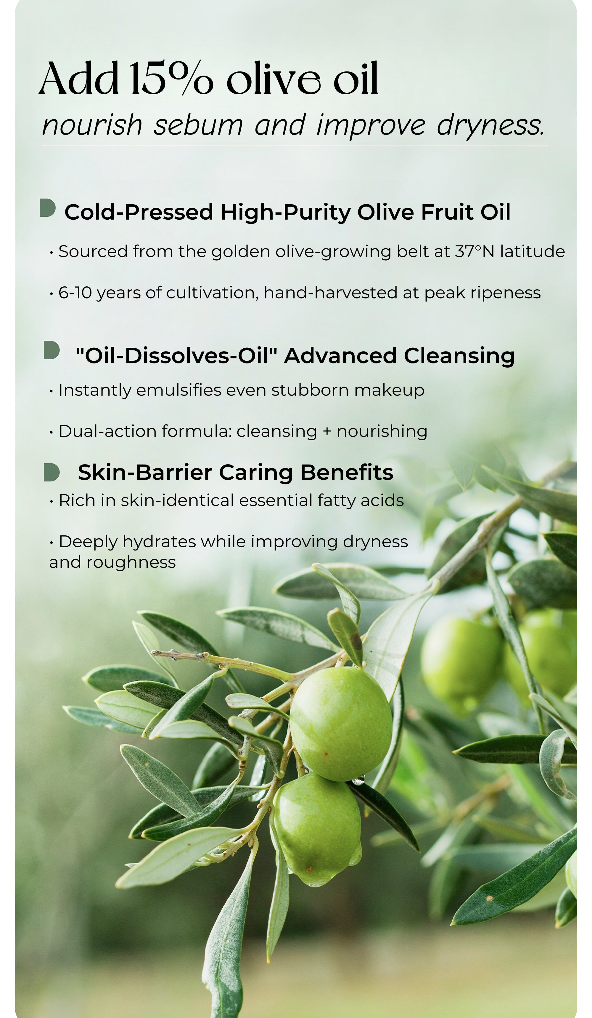 Little Dream Garden Purifying Cleansing Makeup Remover Cream T4788