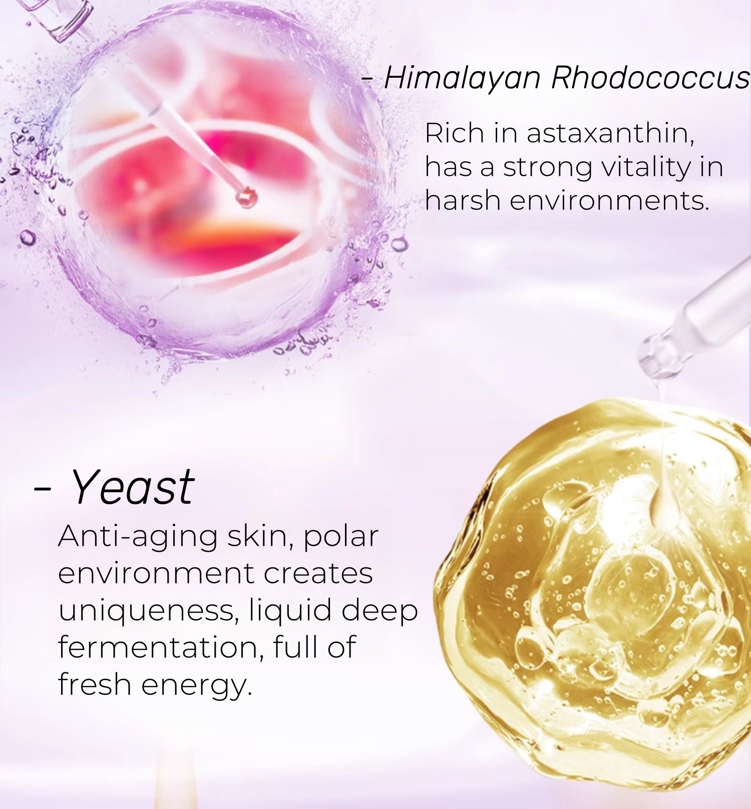 CHANDO Time Frozen Aging Resistance Anti-wrinkle Eye Cream T4468