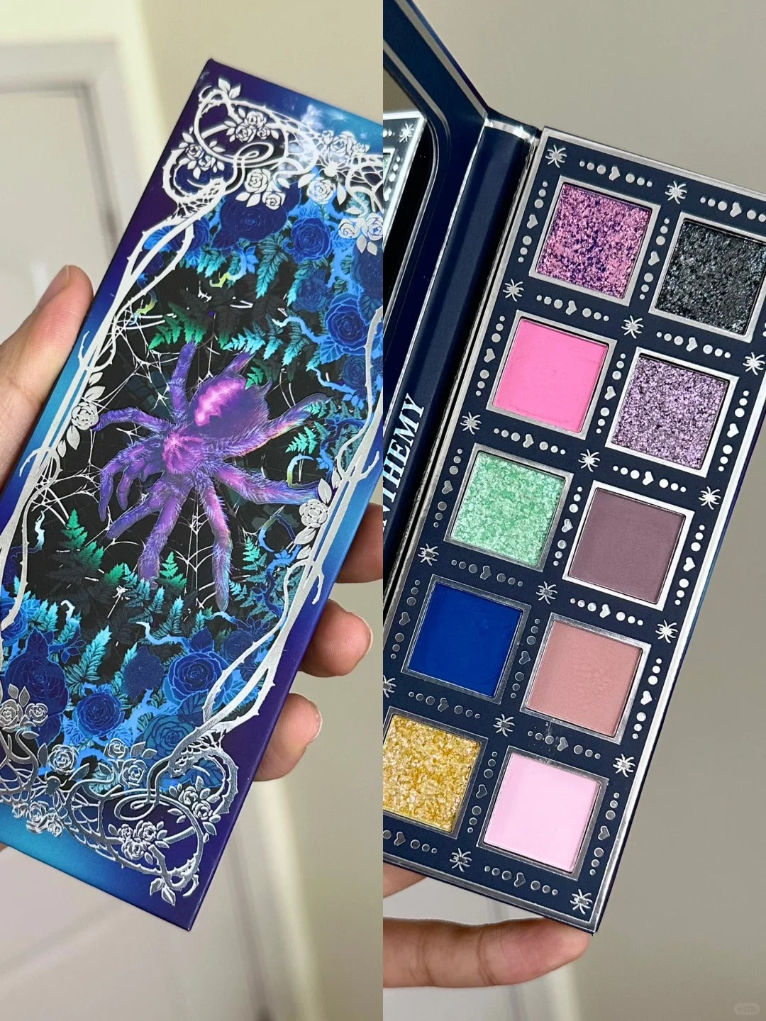 ANTHEMY Furry Spider 10-Color Chameleon Eyeshadow Palette (3.0) T4278