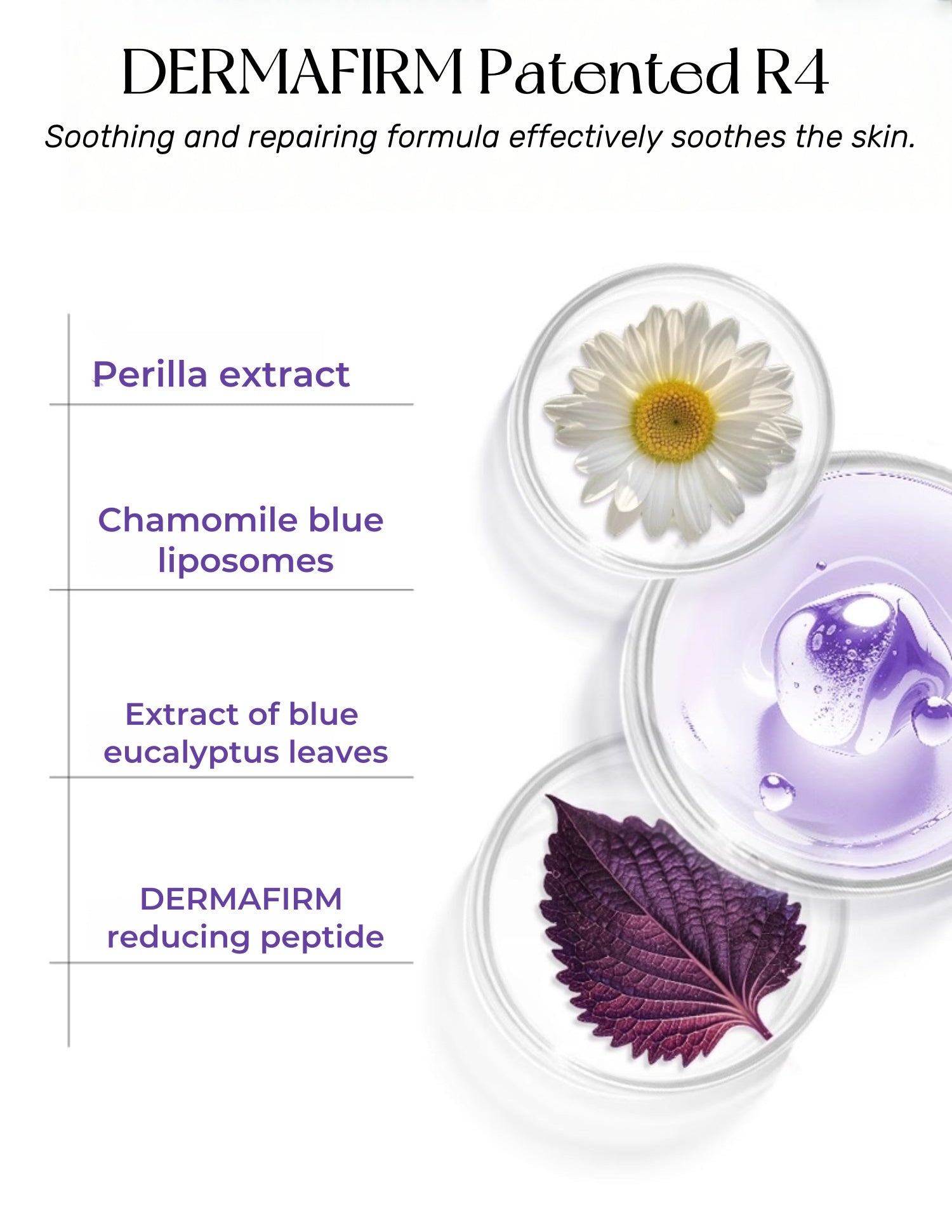 Dermafirm R4 Perilla Oil-control Repair Moist Facial Cleanser T5100