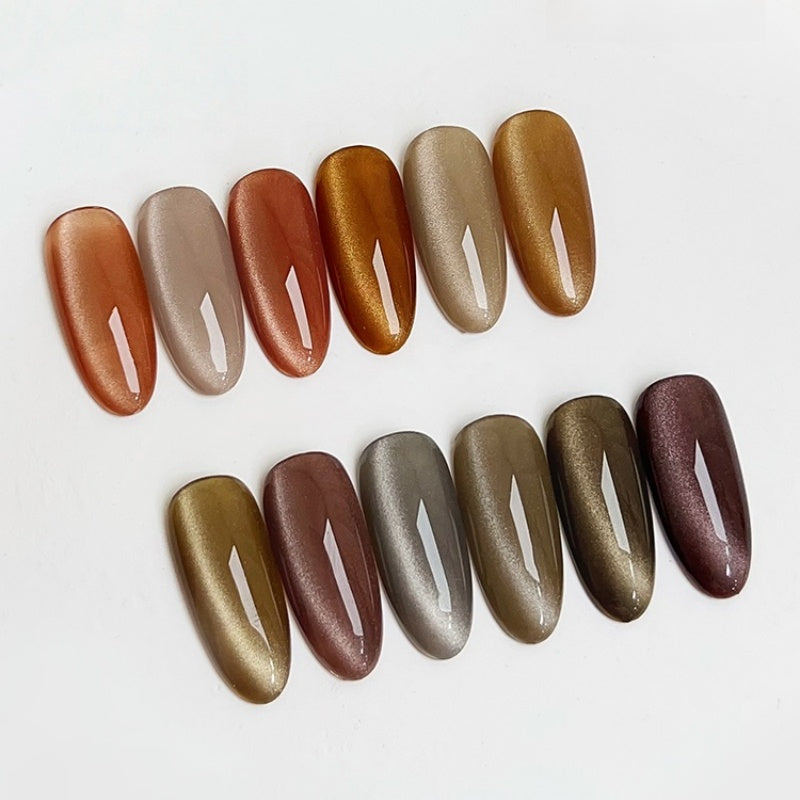 DANZHIHE 12g Maillard Cat Eye Gel Polish T4719