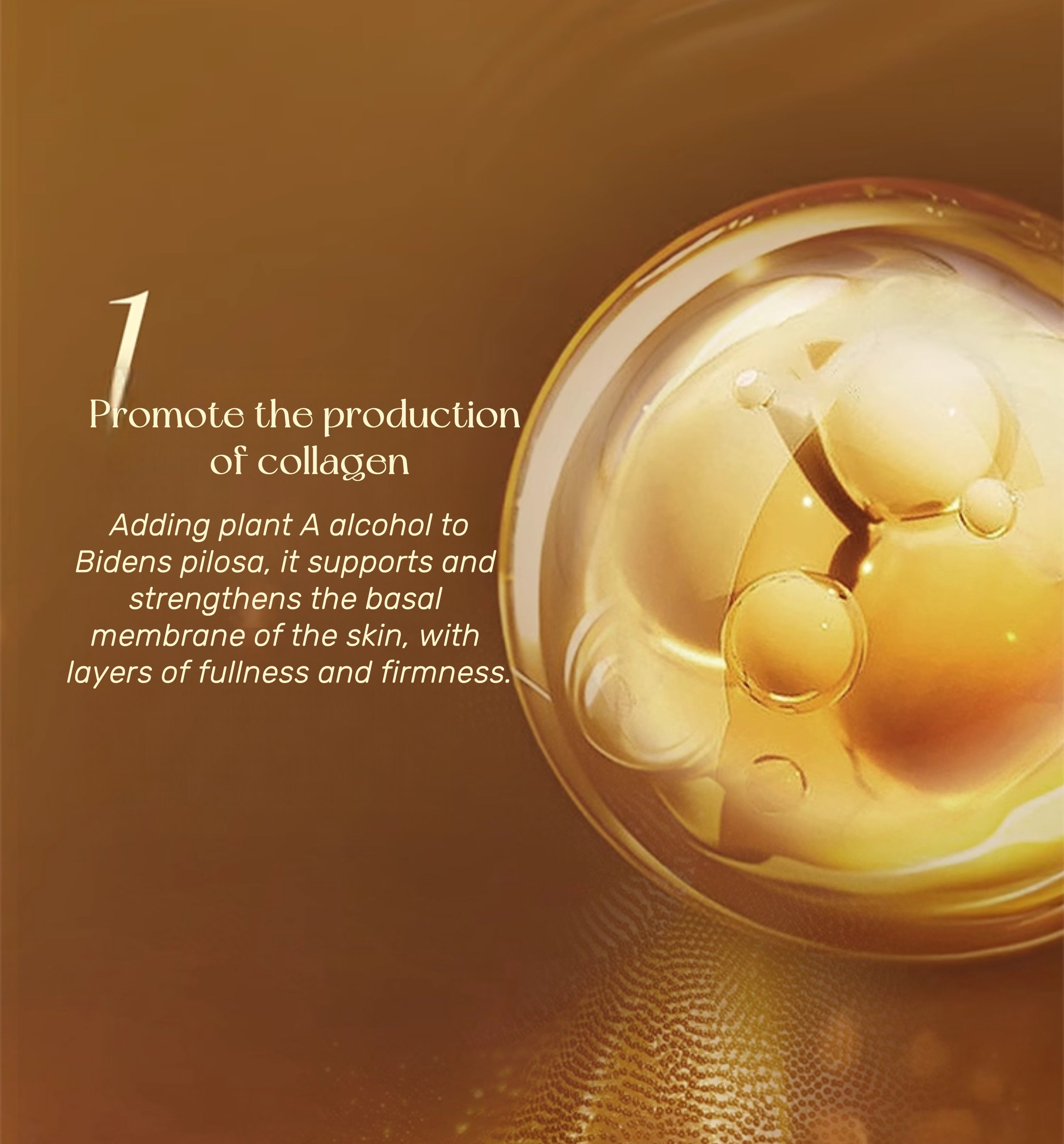 AFU 11 Seeds Plant A Alcohol Essence Toner & Lotion Set T5128