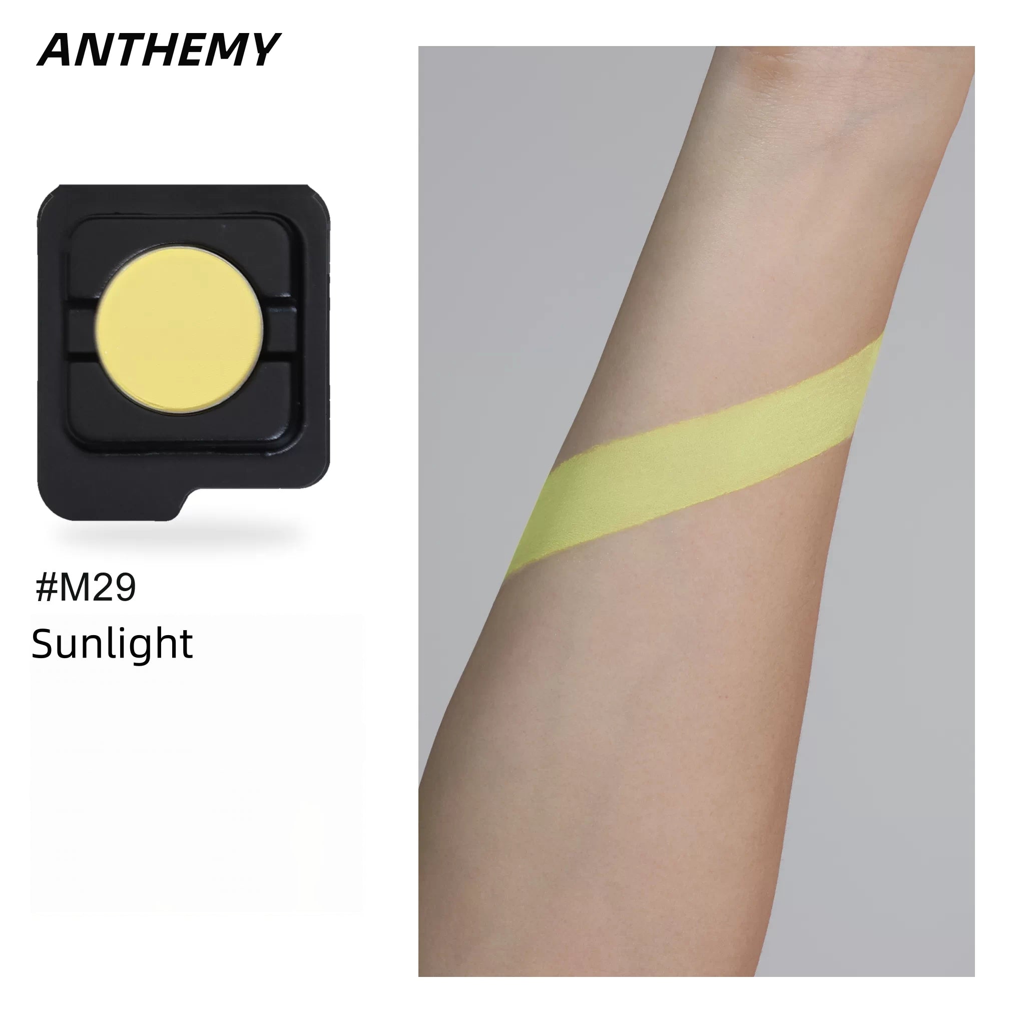 ANTHEWAY Erosion Matrix Collection DIY Eyeshadow Palette T5941