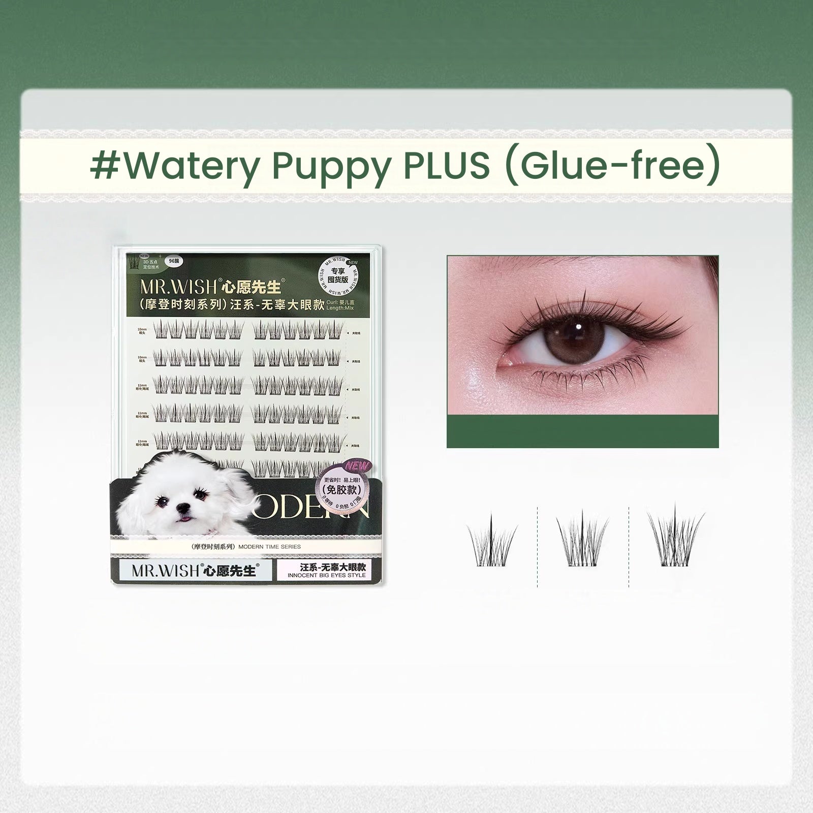 MR.WISH Plus Edition Large Capacity False Eyelashes T5679