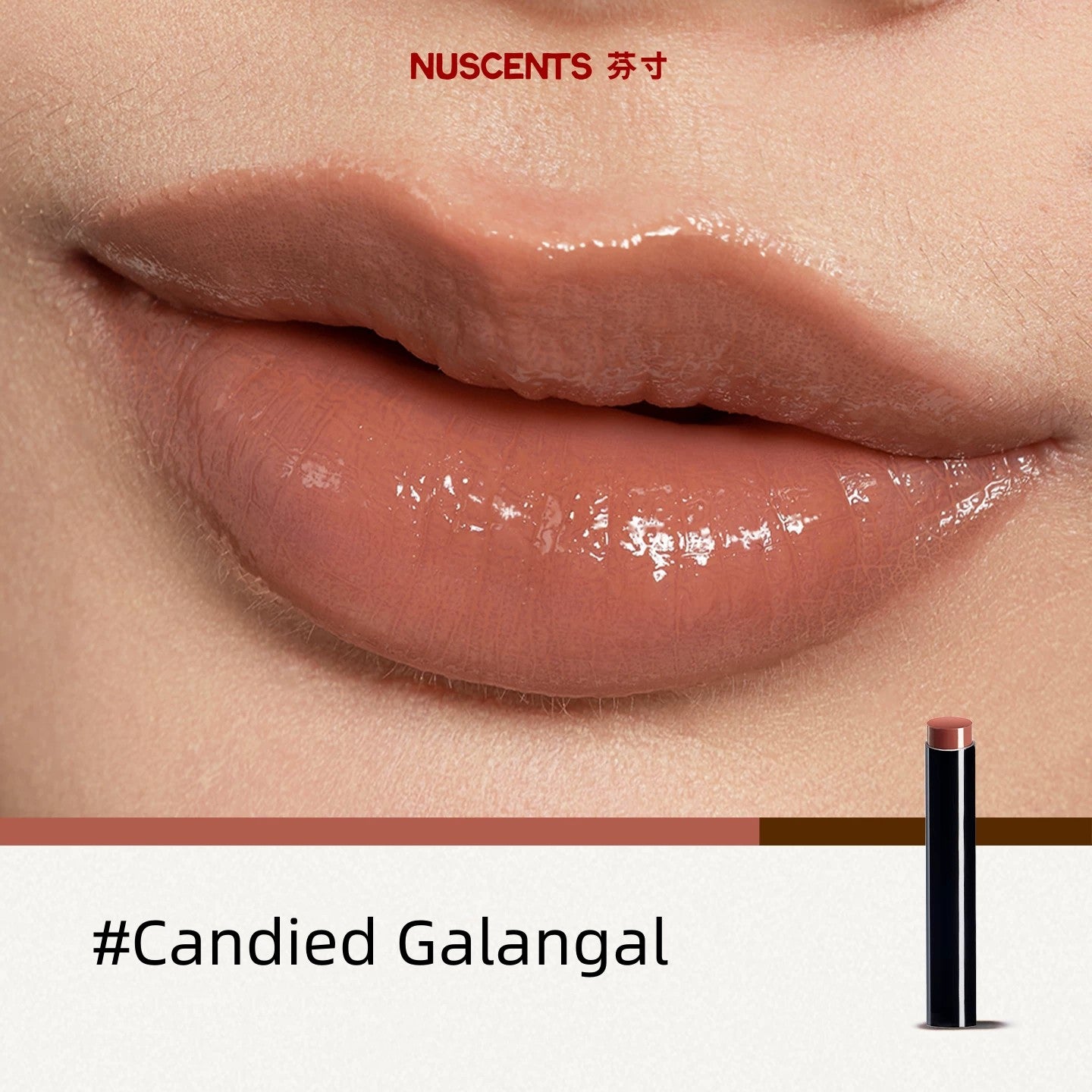 NUSCENTS Glossy & Matte Moist Essence Lipstick Refill T5750