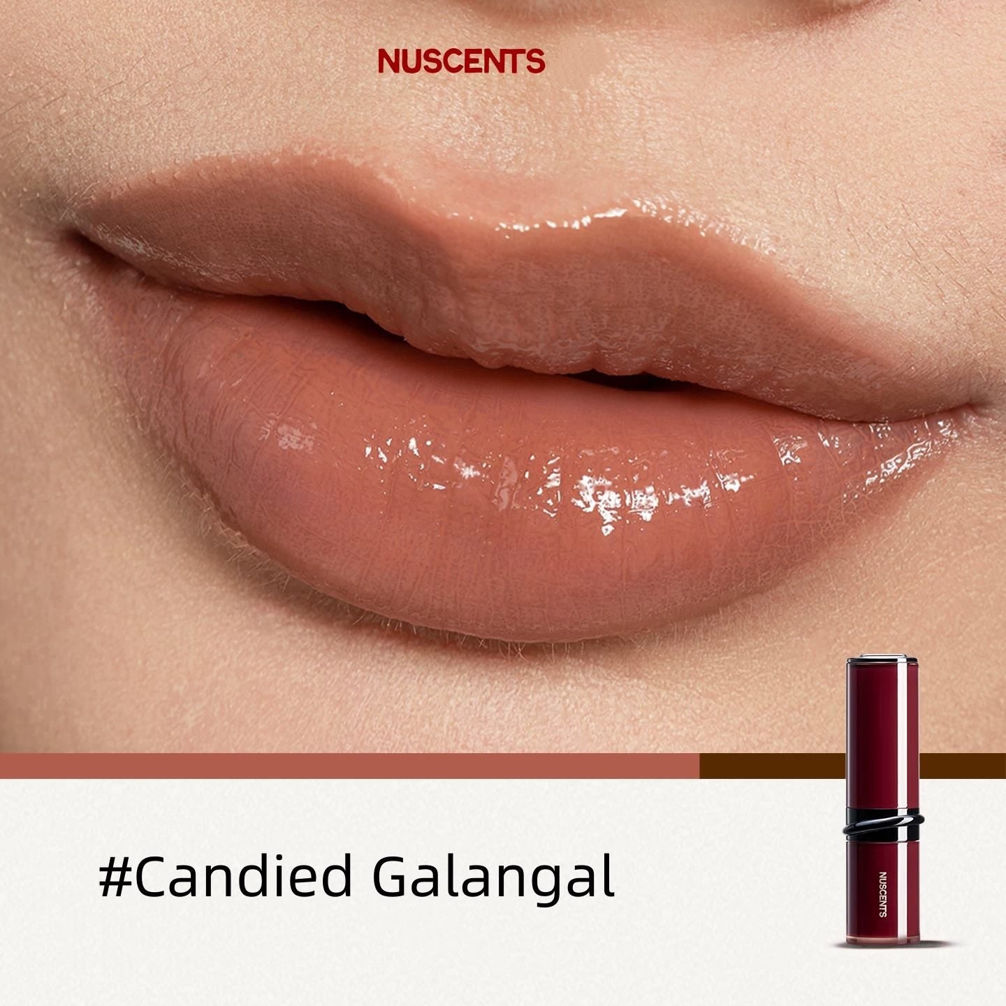 NUSCENTS Glossy & Matte Moist Essence Lipstick T5747