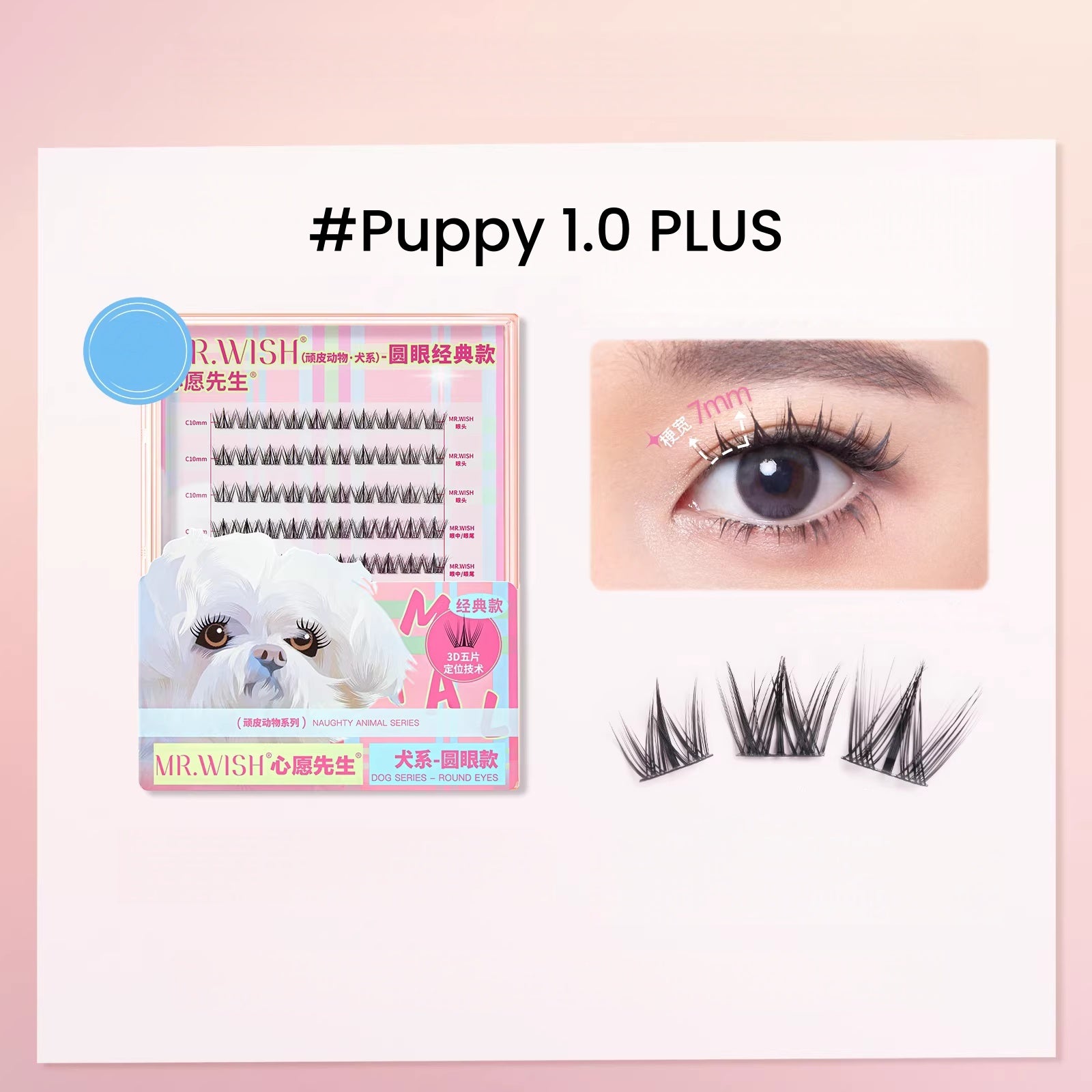 MR.WISH Plus Edition Large Capacity False Eyelashes T5679