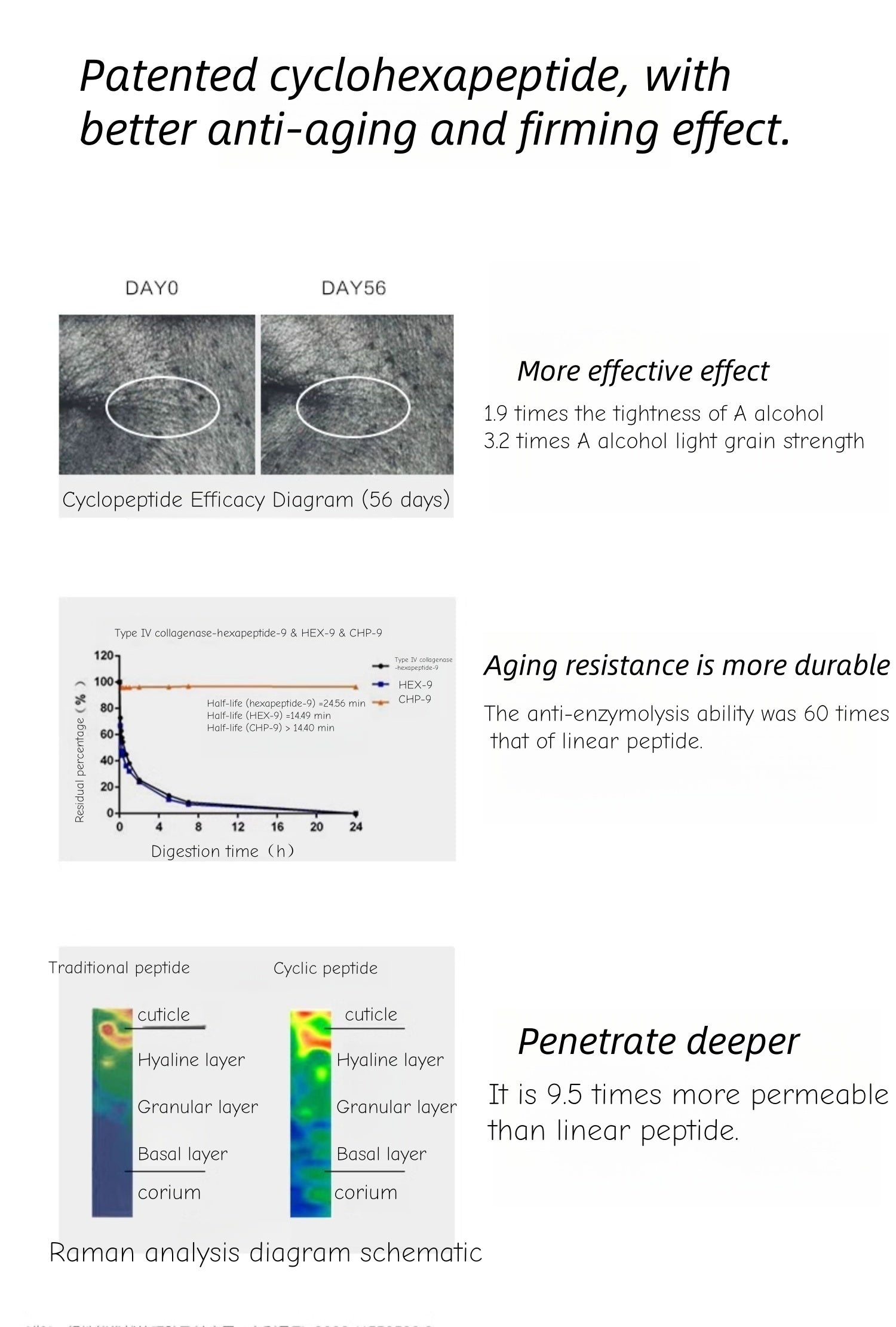 KANS Polypeptide Collagen Firming Anti-winkle Eye Cream T4527