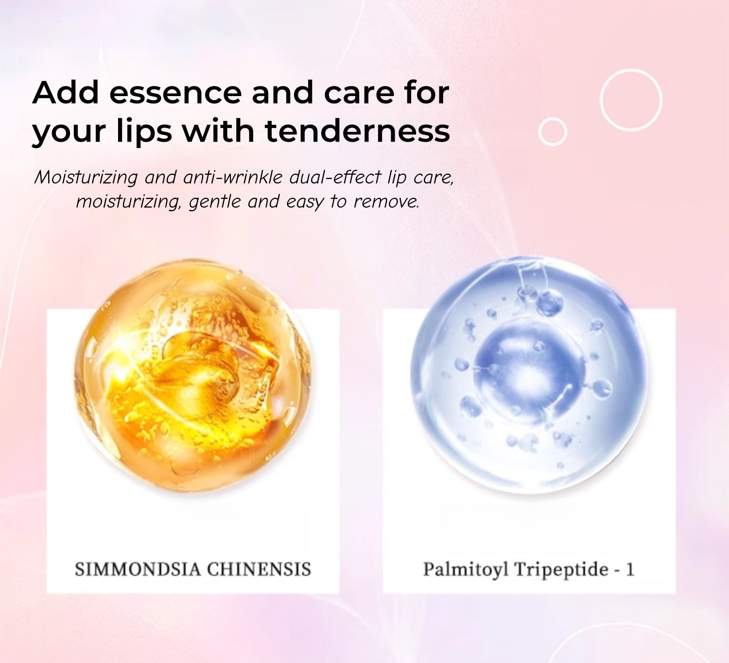 GOGO TALES Sweet Pink Ballet Collection Moist Glossy Lipstick T4702