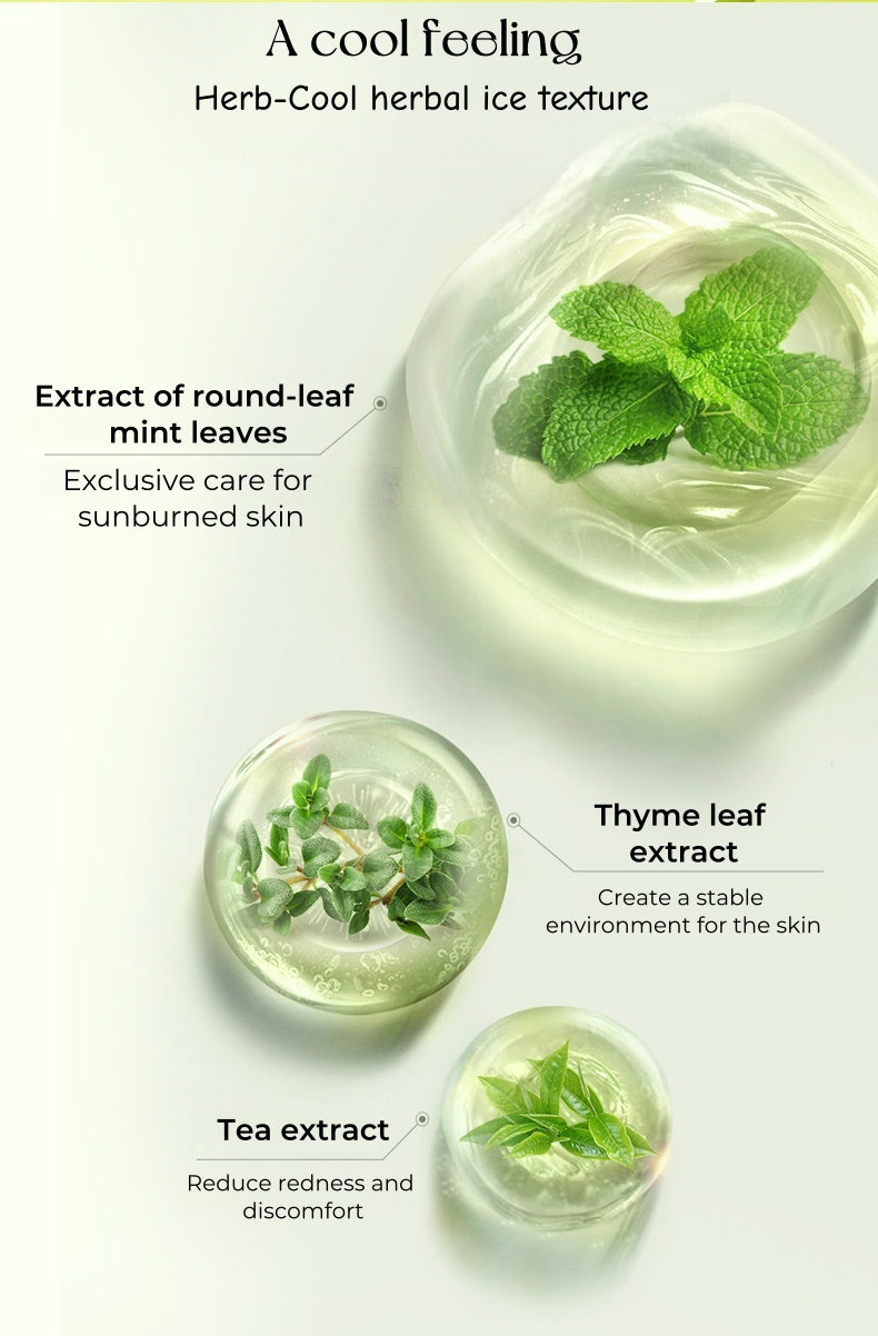 Papa Recipe Green Honey Can Centella Asiatica Soothe & Repair Facial Mask 12 Pcs T5062