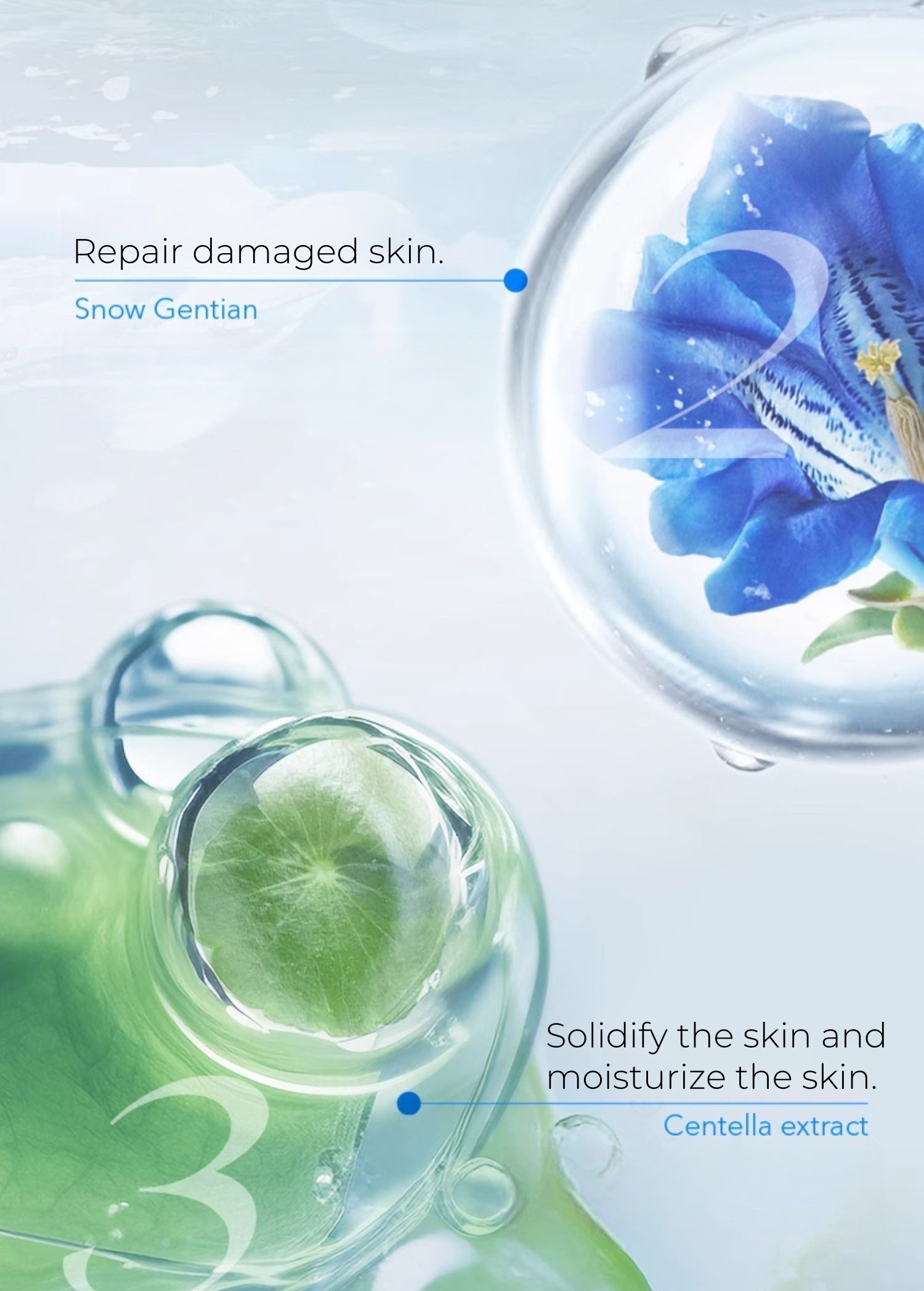 CHANDO Himalaya Snowy Region Repair Fugtighedscreme til ansigtet T4458