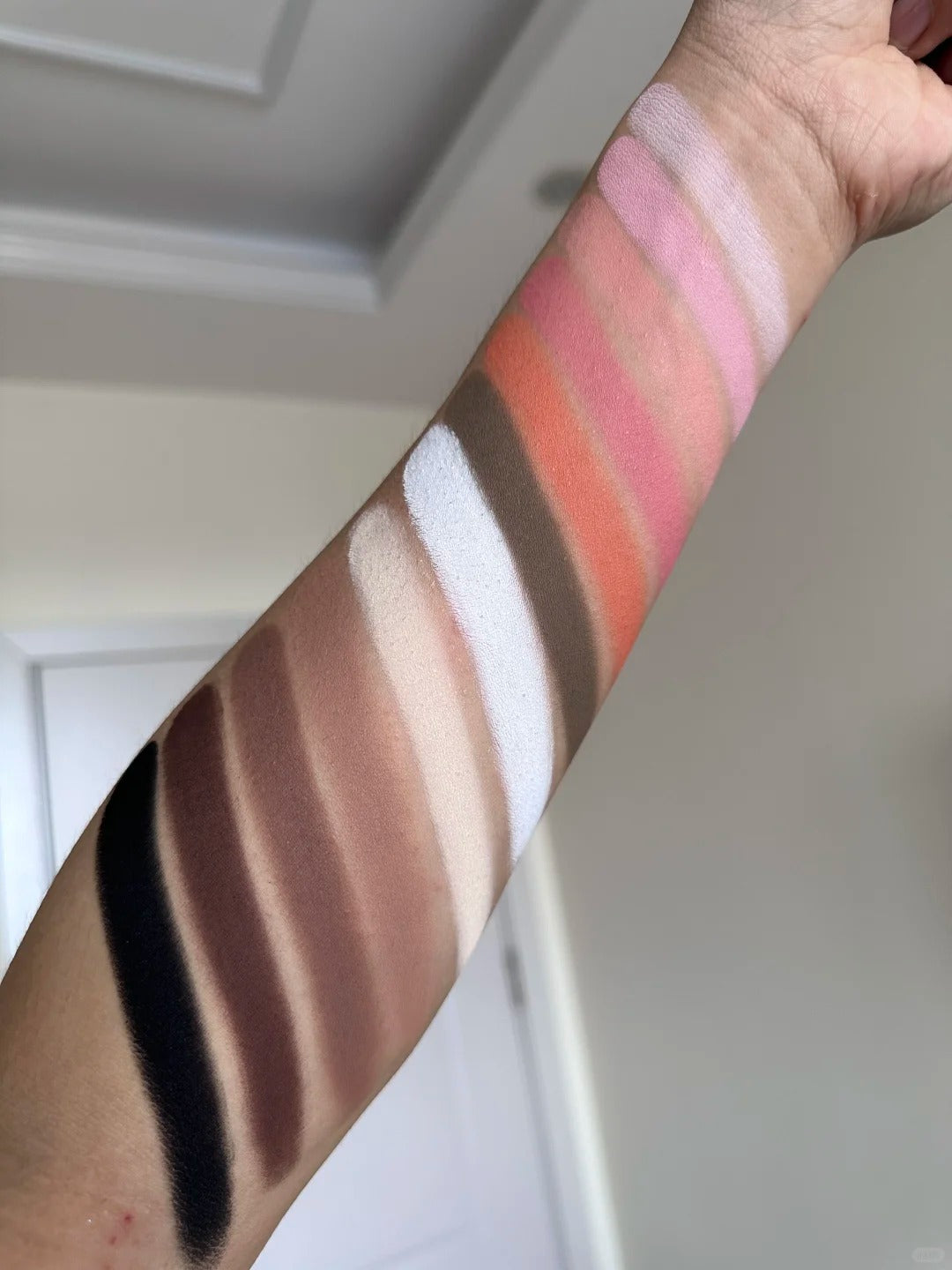 ANTHEMY Creatures Atlas Collection All-In-One 4 Pcs Eyeshadow Palette Set (2.0) T4144