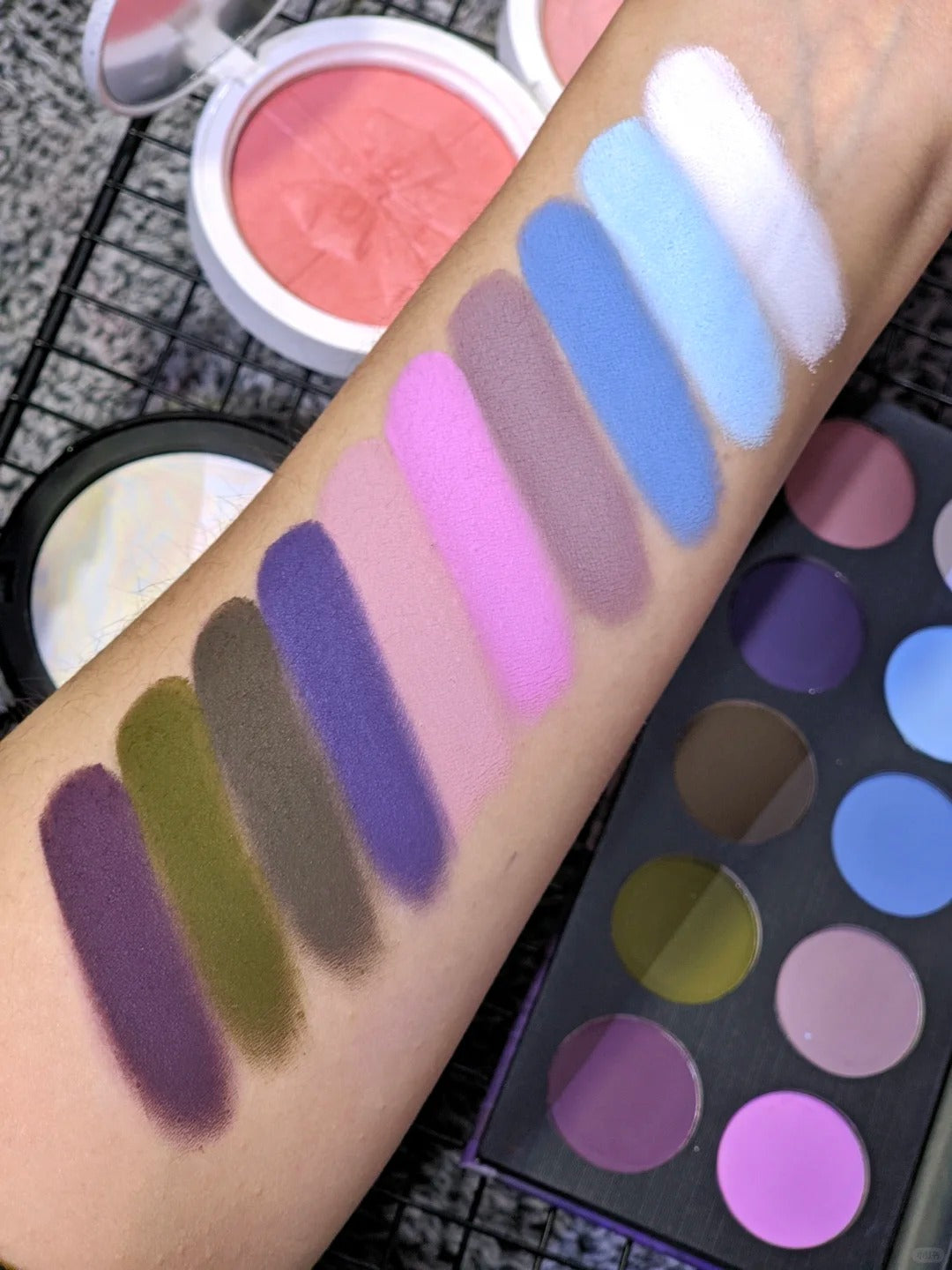 CHOIZ BEAUTY Cold Butterfly 10-Color Matte Eyeshadow Palette T4285