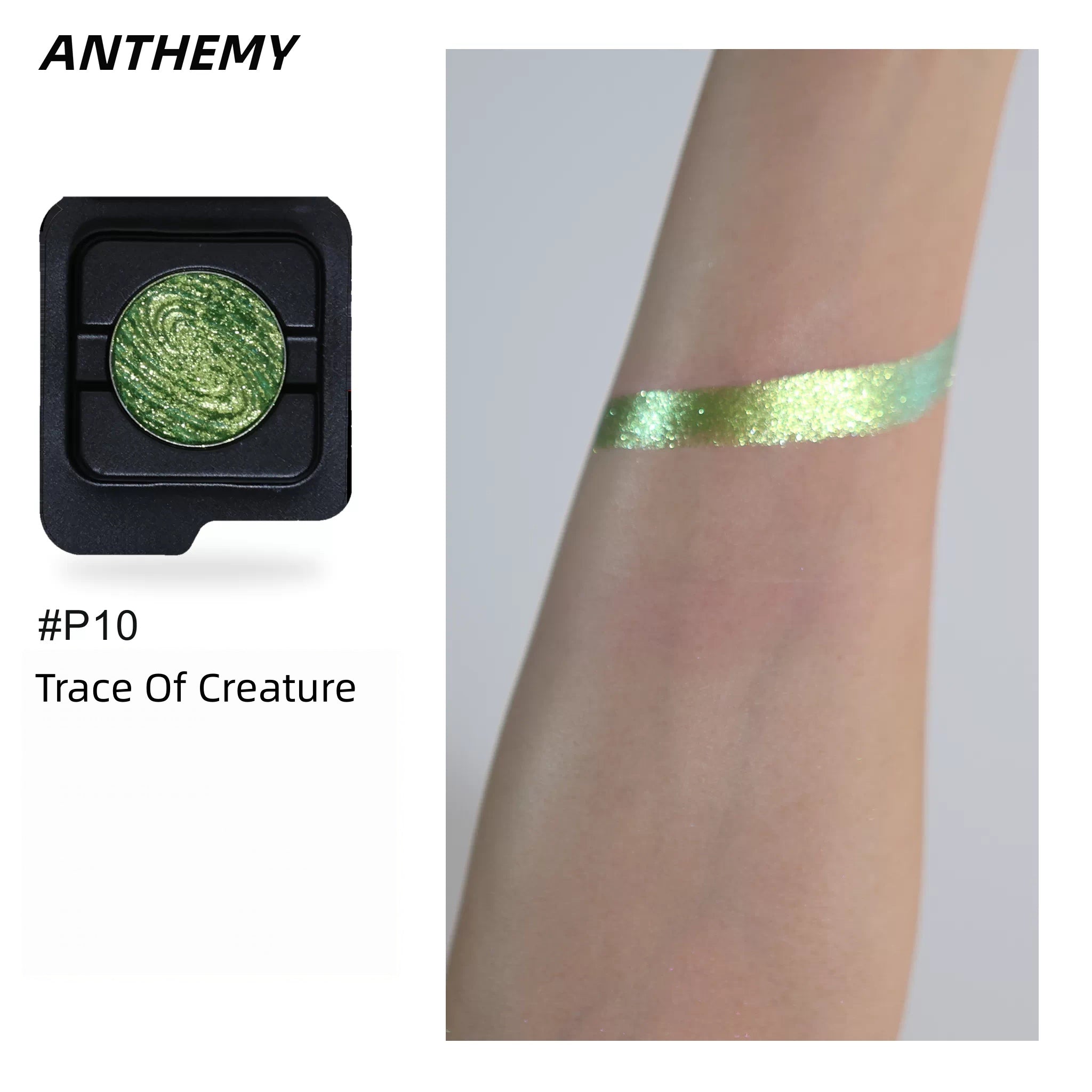 ANTHEWAY Erosion Matrix Collection DIY Eyeshadow Palette T5941