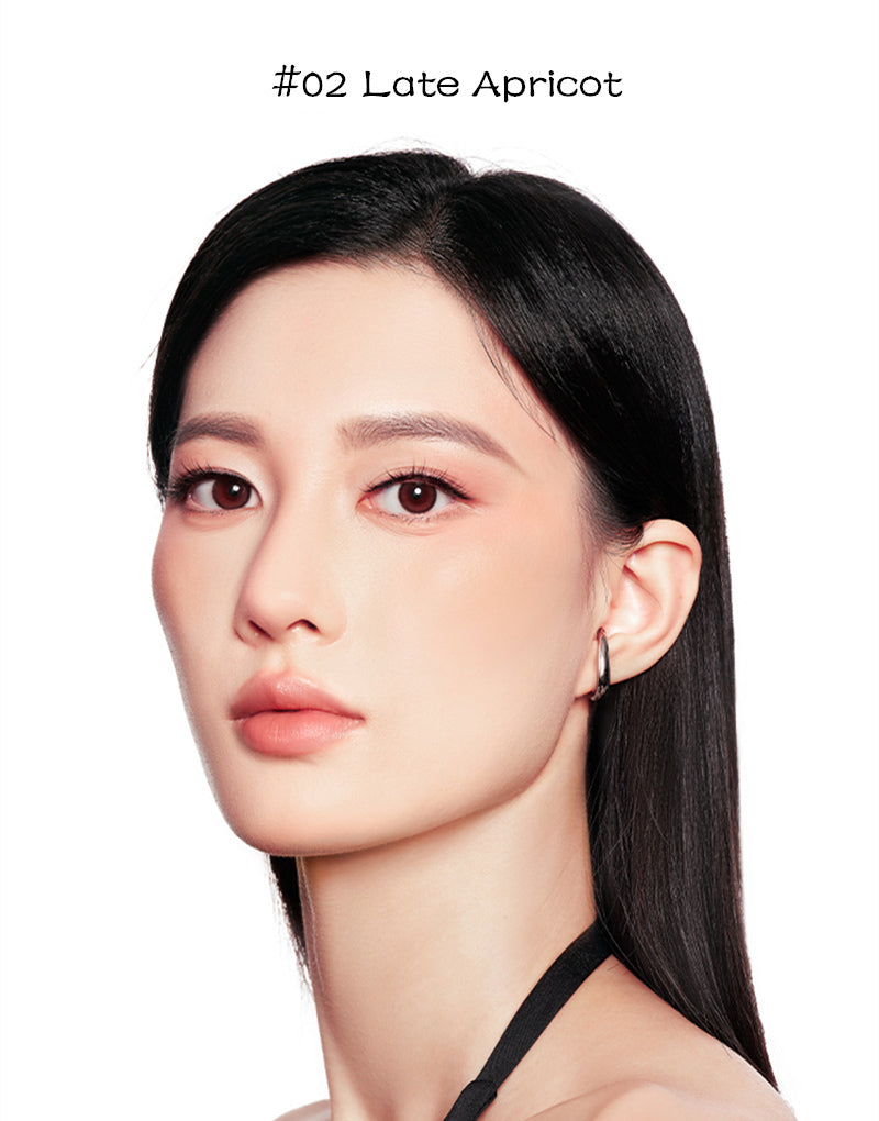 Perfect Diary Essence Matte Makeup Blusher T3851