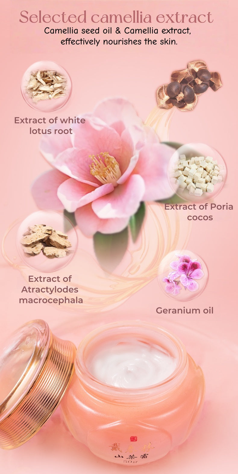 DaiChunLin Camellia Nourish & Moisture Facial Cream T5089