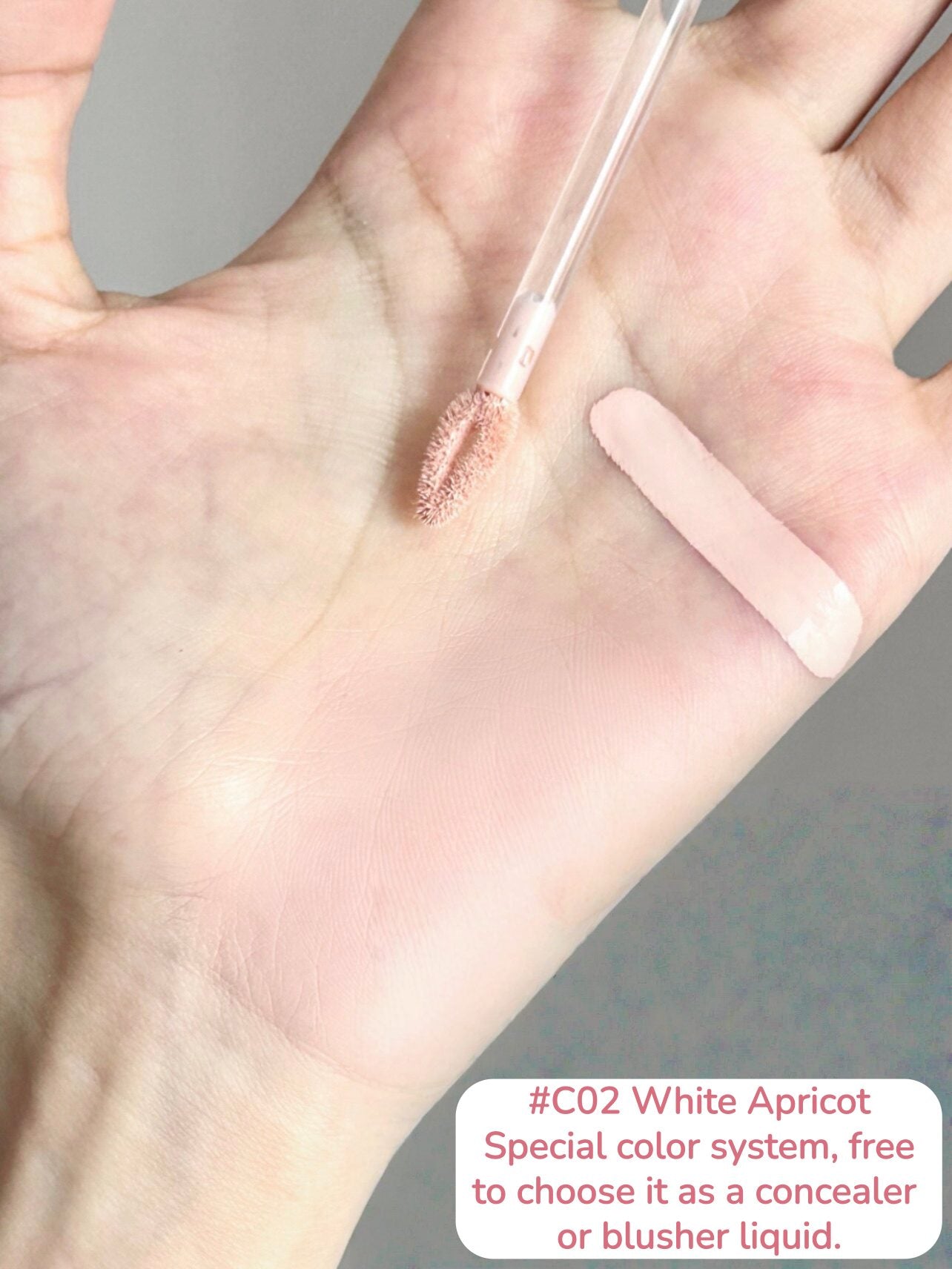 ROINGNEAO Moist Smooth Matte Liquid Blusher & Highlighter T5533