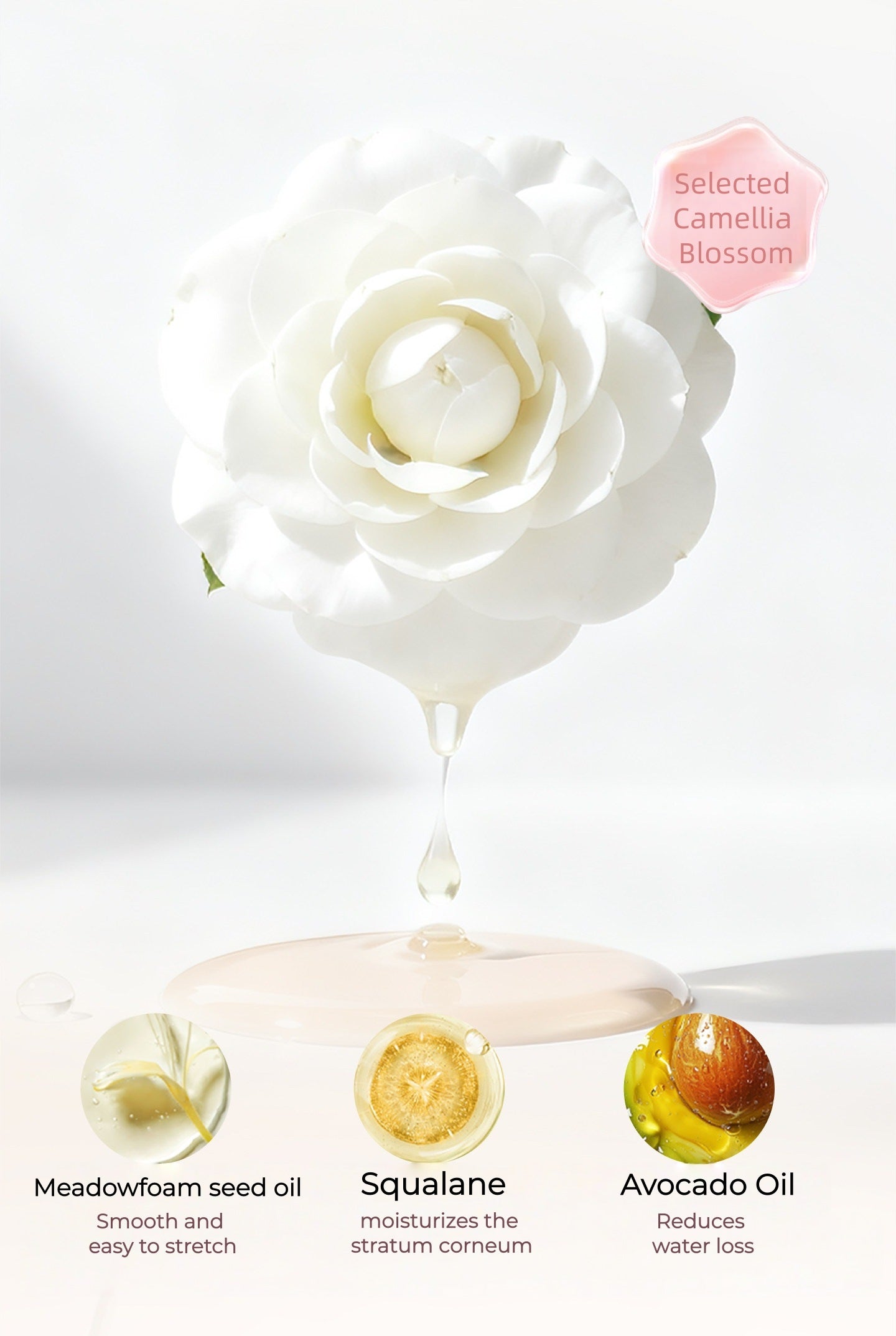 JILL LEEN 4-color Moist Concealer Palette T5627