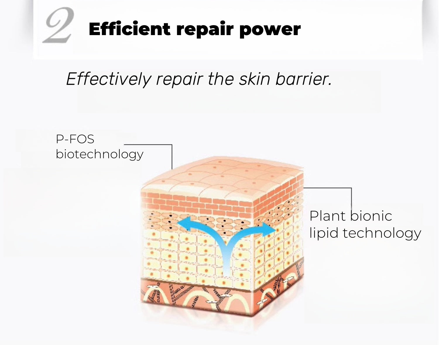 Dr.Yu Insentive Hydrating Soft Moisturizie Ansigtscreme T4395