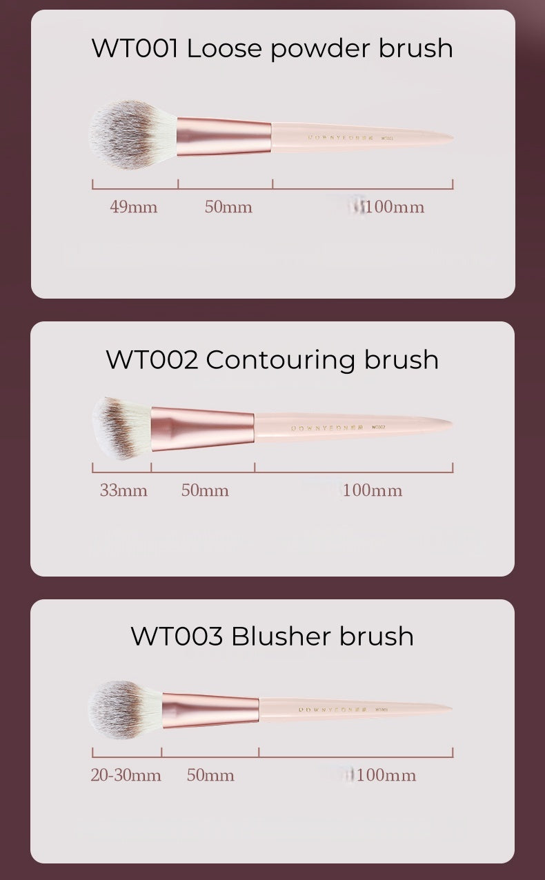 ROWNYEON Mist Peach Professional Makeup Brush 11 Pcs Set T5005